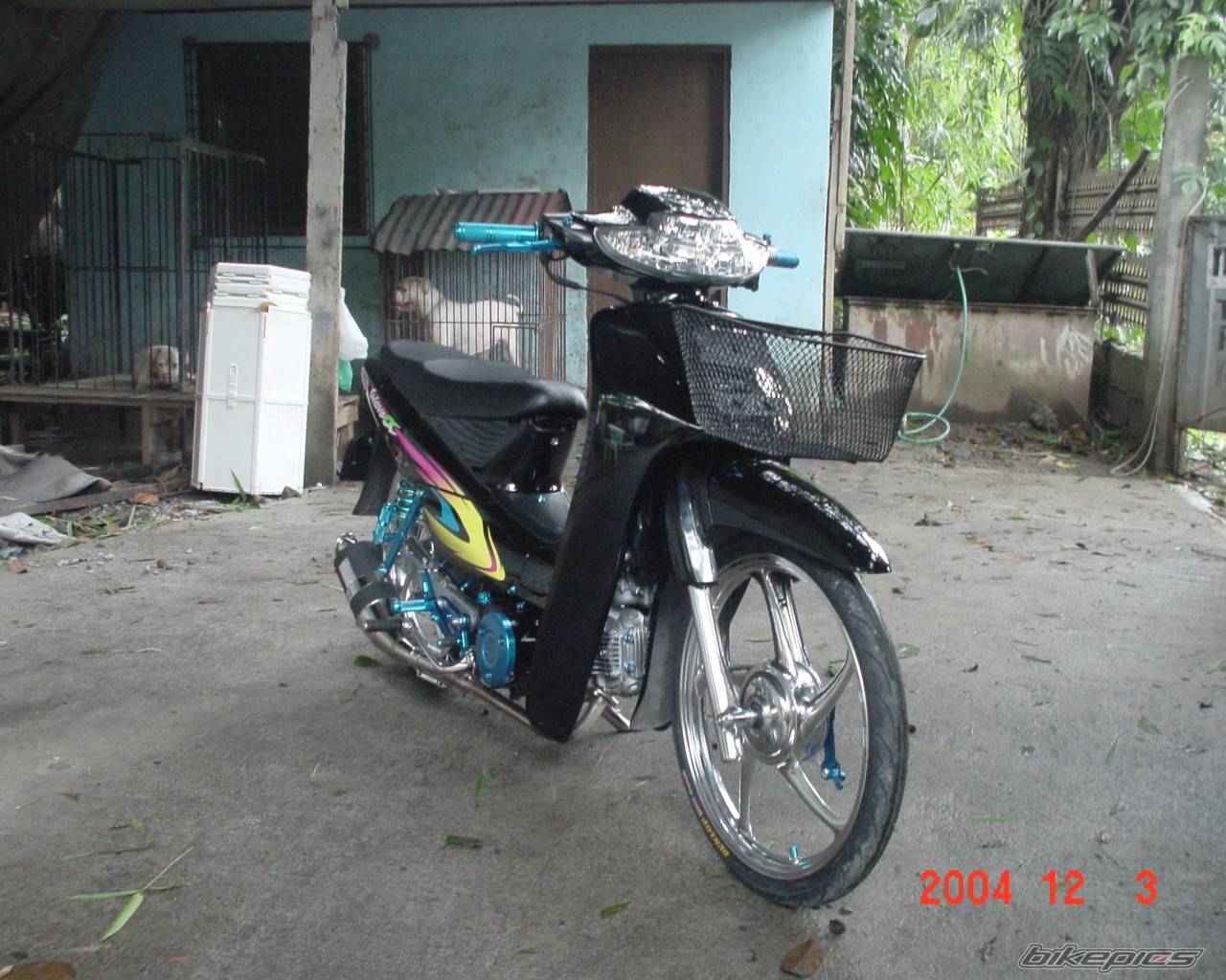 2004 HONDA WAVE 100 | Picture 254066 motorcycle photo