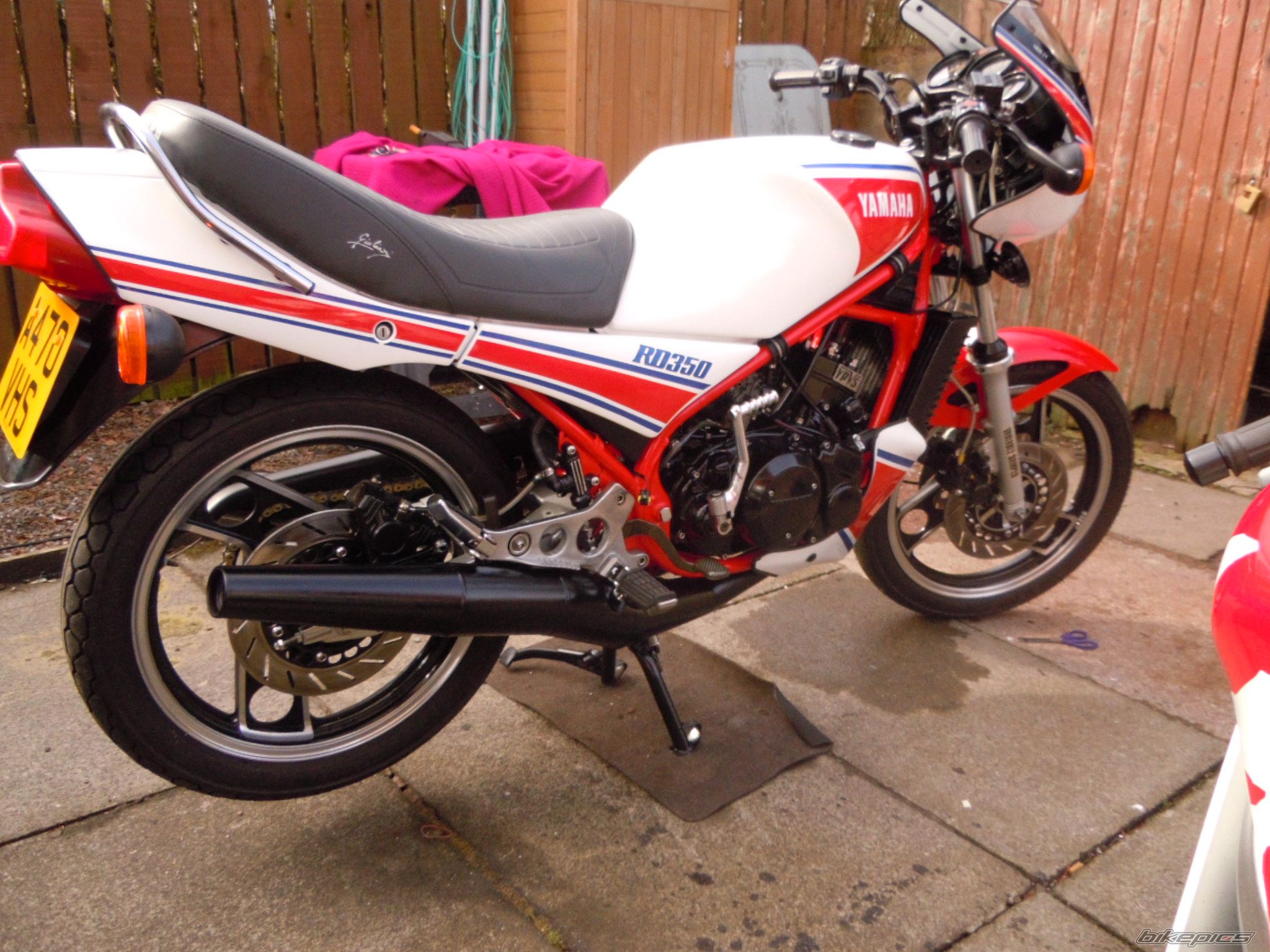 1984 YAMAHA RD 350 | Picture 2540807 motorcycle photo