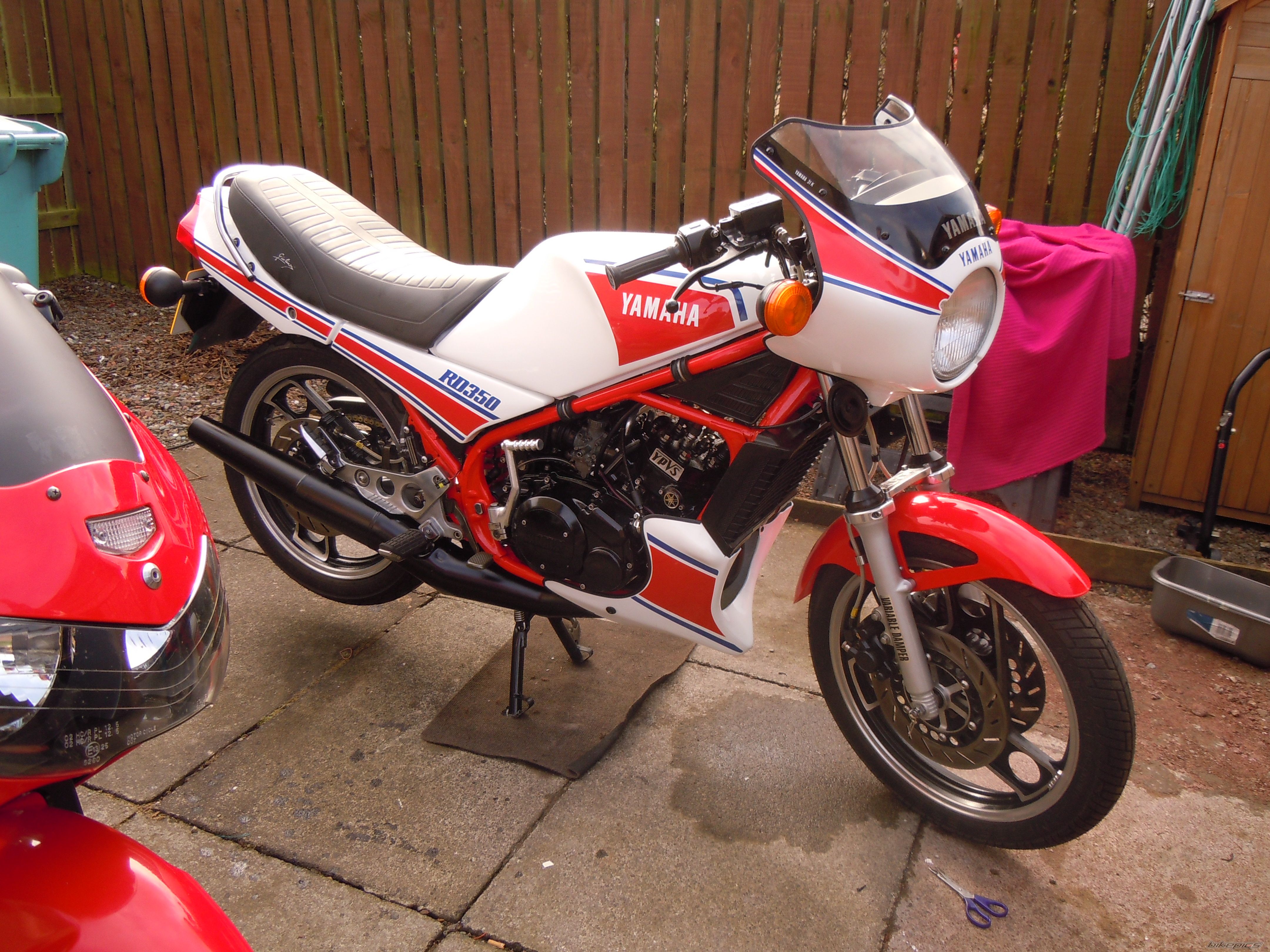 1984 YAMAHA RD 350 | Picture 2540809 motorcycle photo