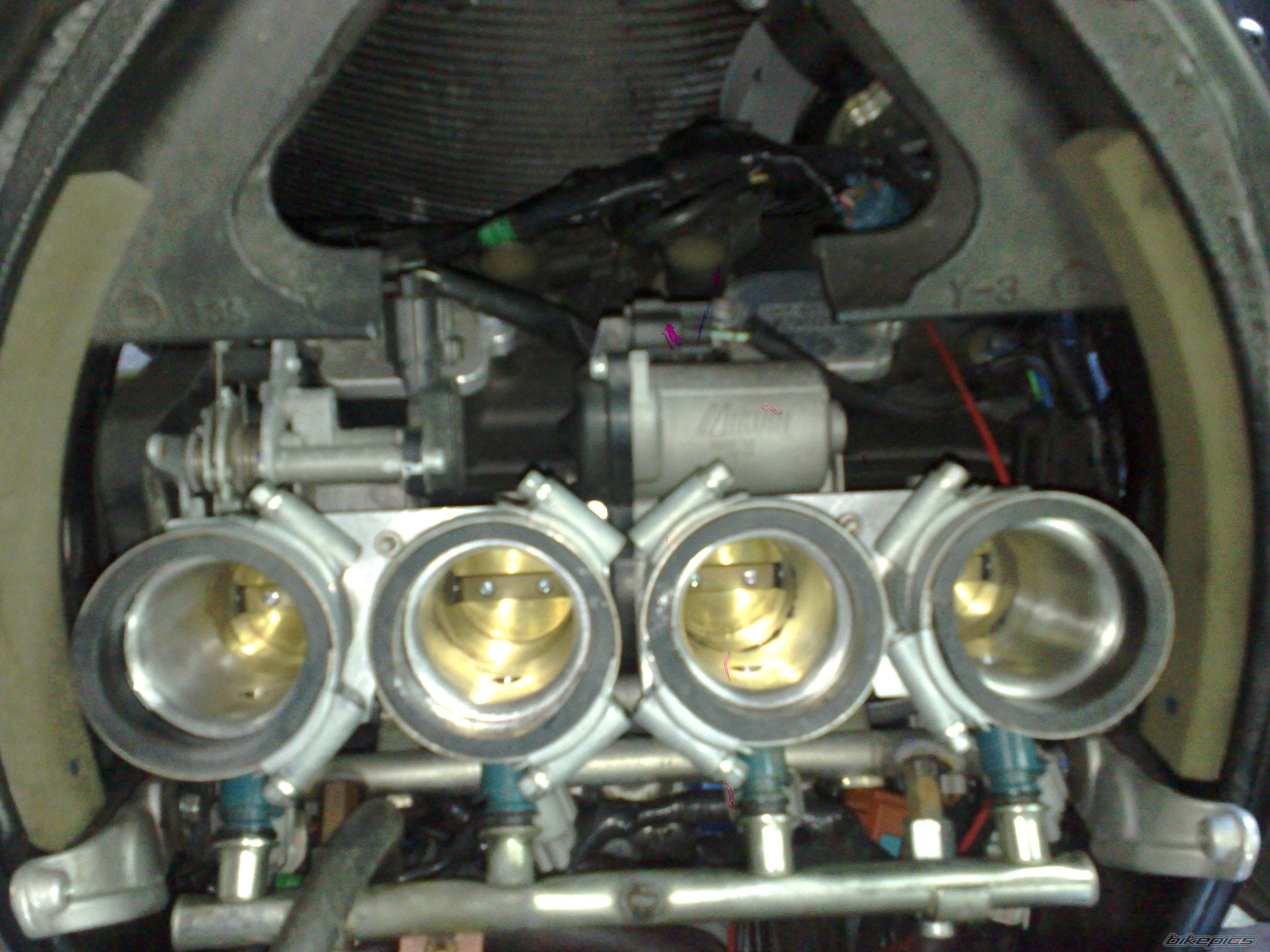 2009 YAMAHA R6 | Picture 2541336 motorcycle photo