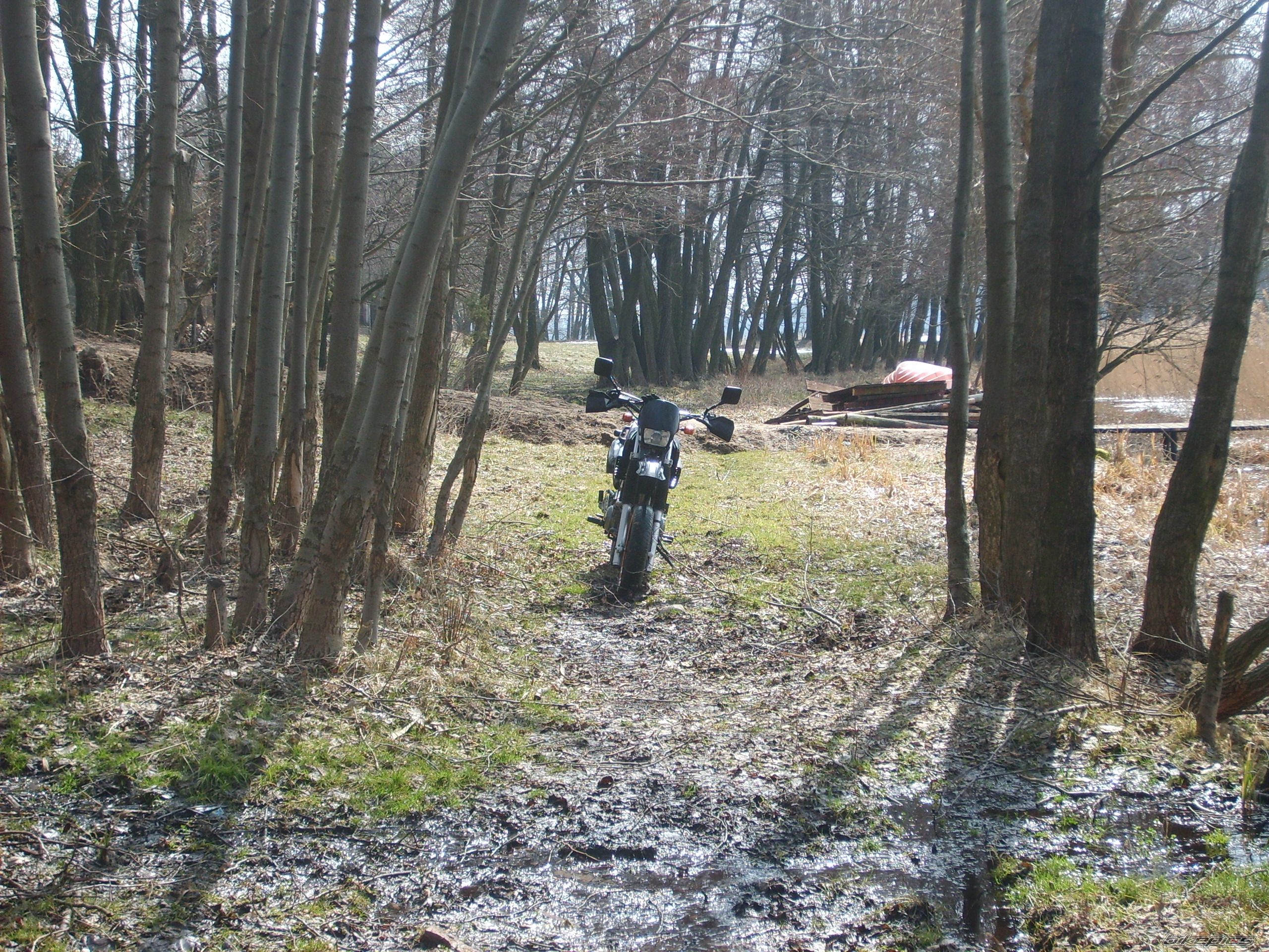 1994 YAMAHA XT 600 | Picture 2541773 motorcycle photo