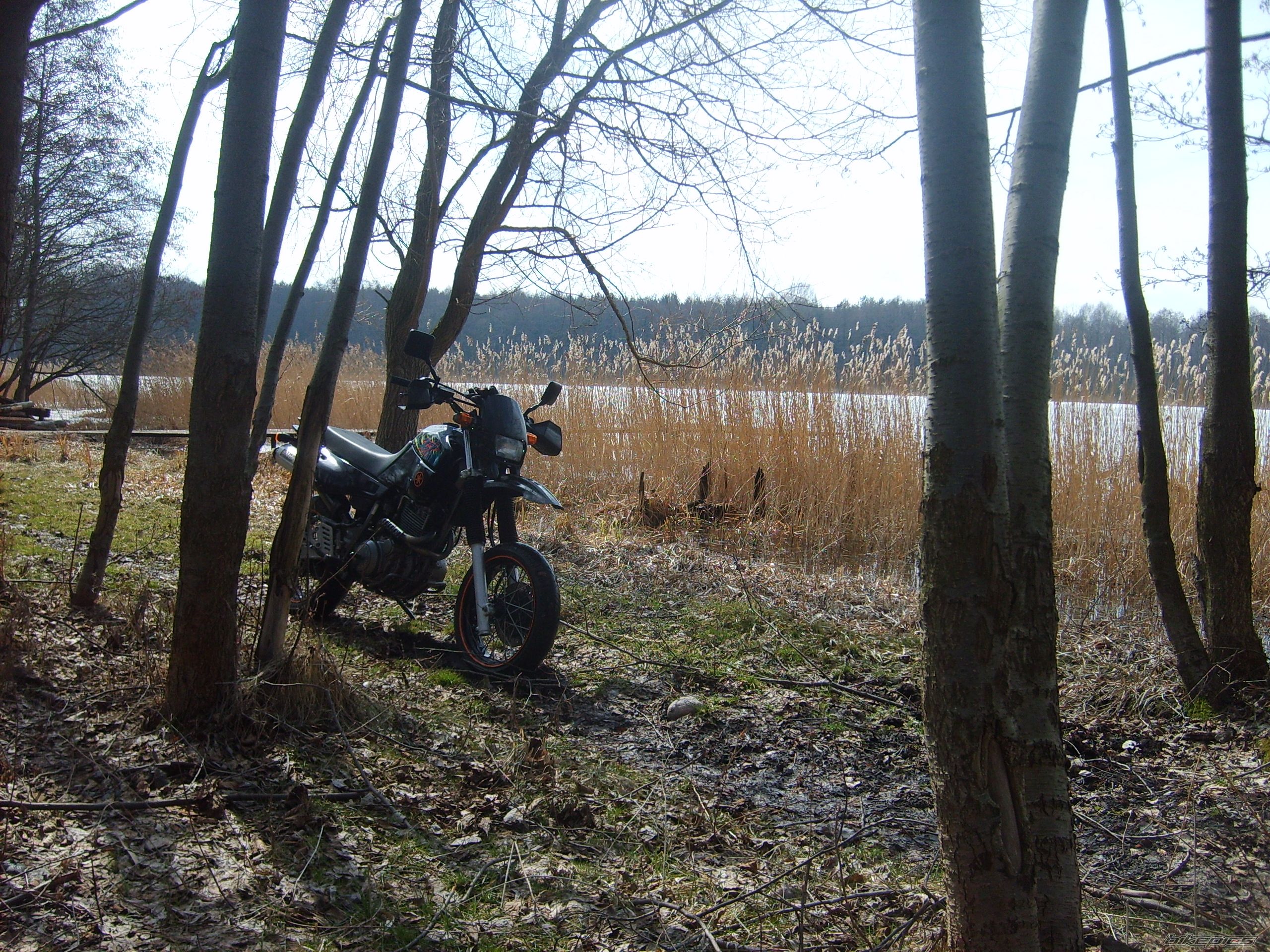 1994 YAMAHA XT 600 | Picture 2541774 motorcycle photo