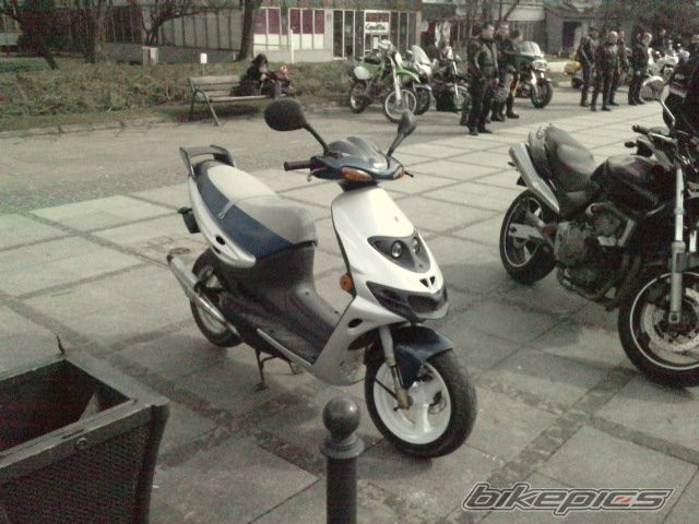1999 SUZUKI AY 50 | Picture 2542277 motorcycle photo