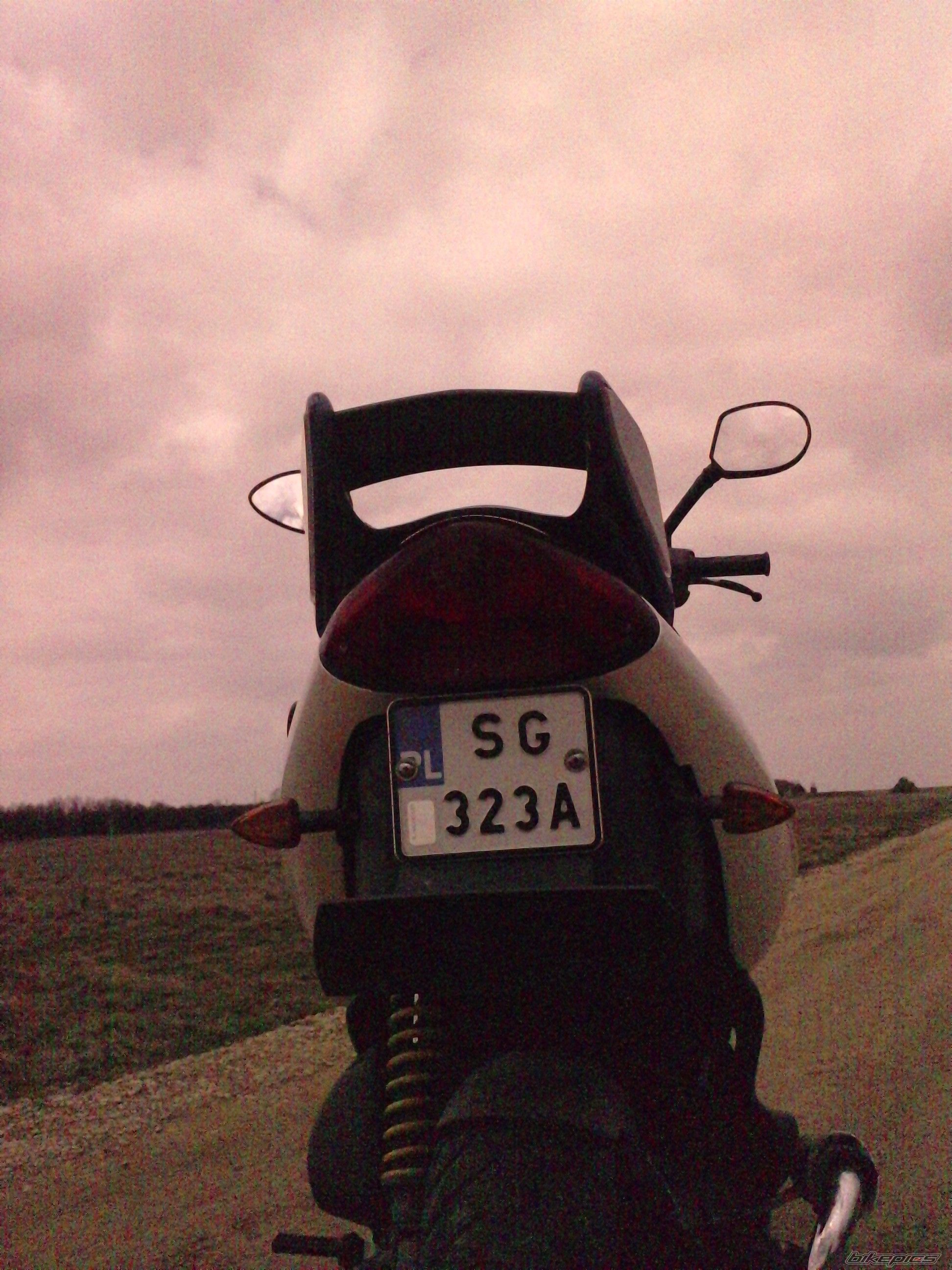 1999 SUZUKI AY 50 | Picture 2542293 motorcycle photo