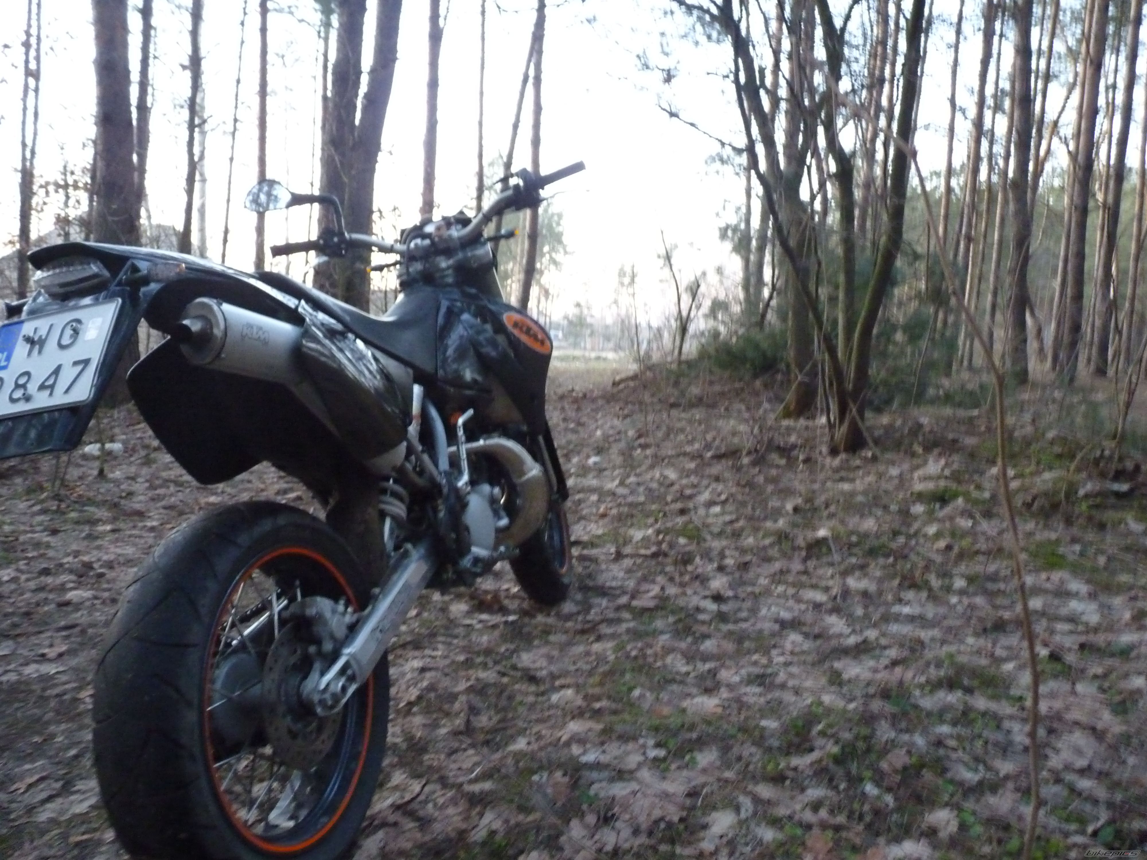 2000 KTM 125 EXE | Picture 2542712 motorcycle photo