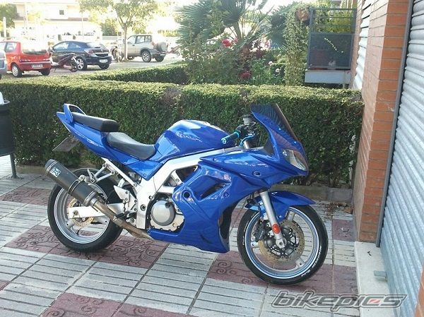 2004 SUZUKI SV R | Picture 2542835 motorcycle photo