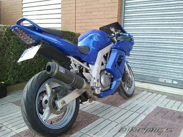 2004 SUZUKI SV R | Picture 2542836 motorcycle photo