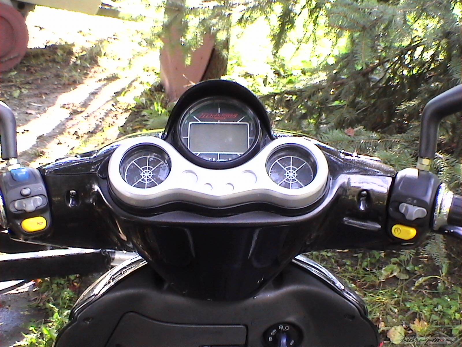 1999 MALAGUTI FIREFOX 50 F15 | Picture 254352 motorcycle photo