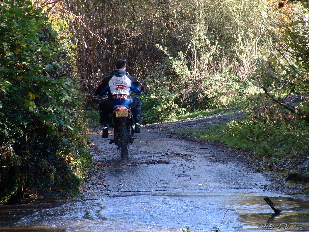 2001 YAMAHA DT 125 | Picture 254516 motorcycle photo