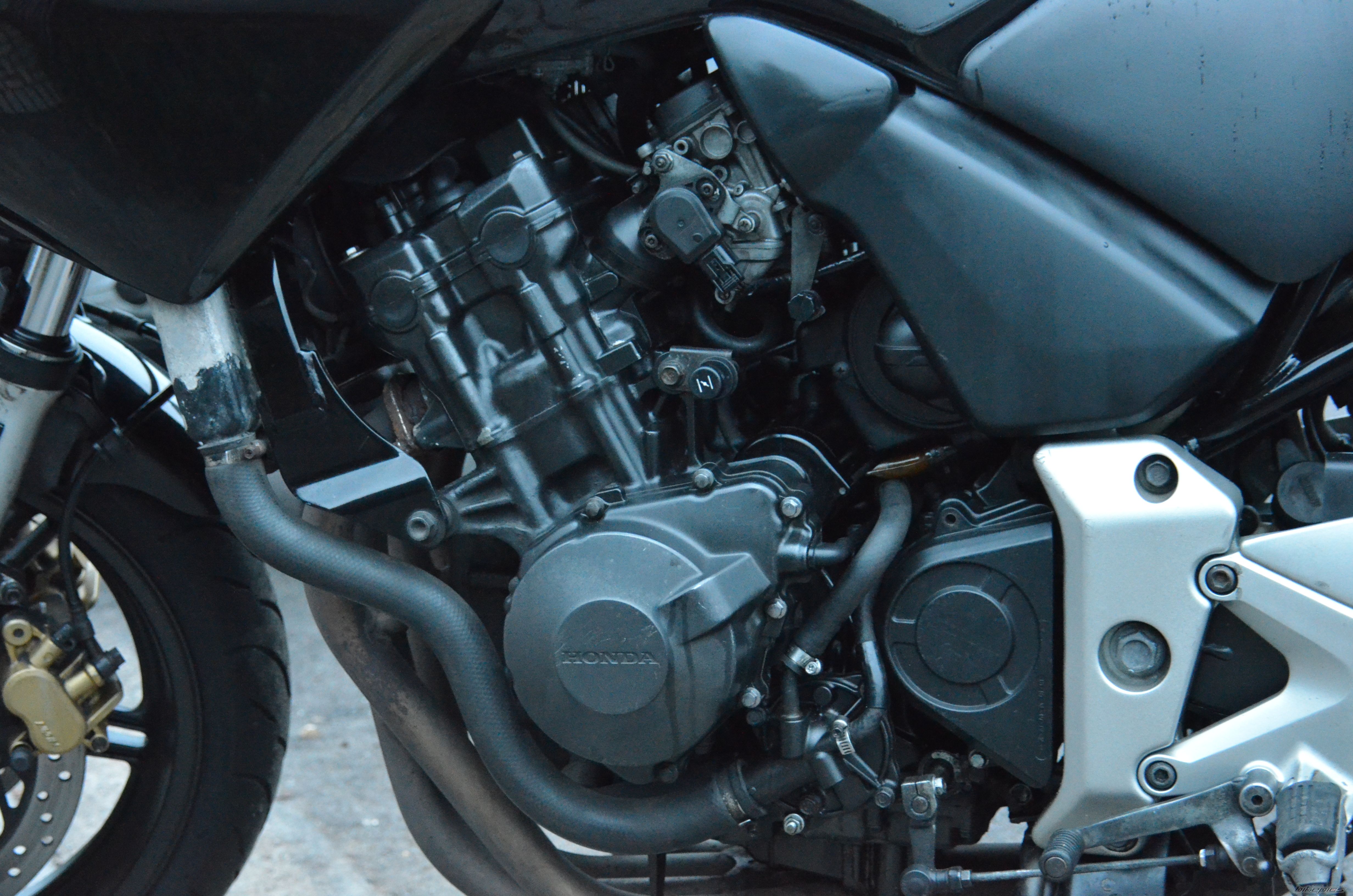 2006 HONDA CBF 600 | Picture 2545180 motorcycle photo