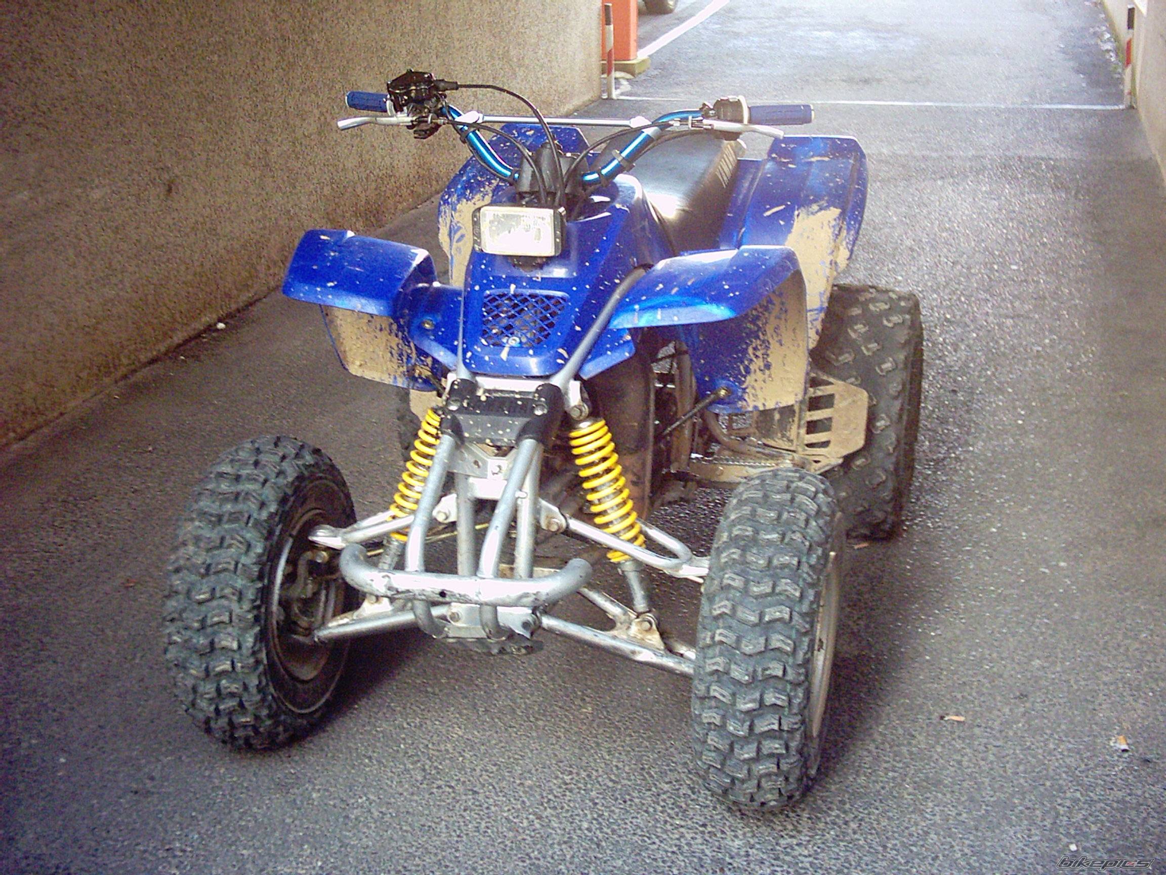 1998 YAMAHA BLASTER | Picture 254528 motorcycle photo