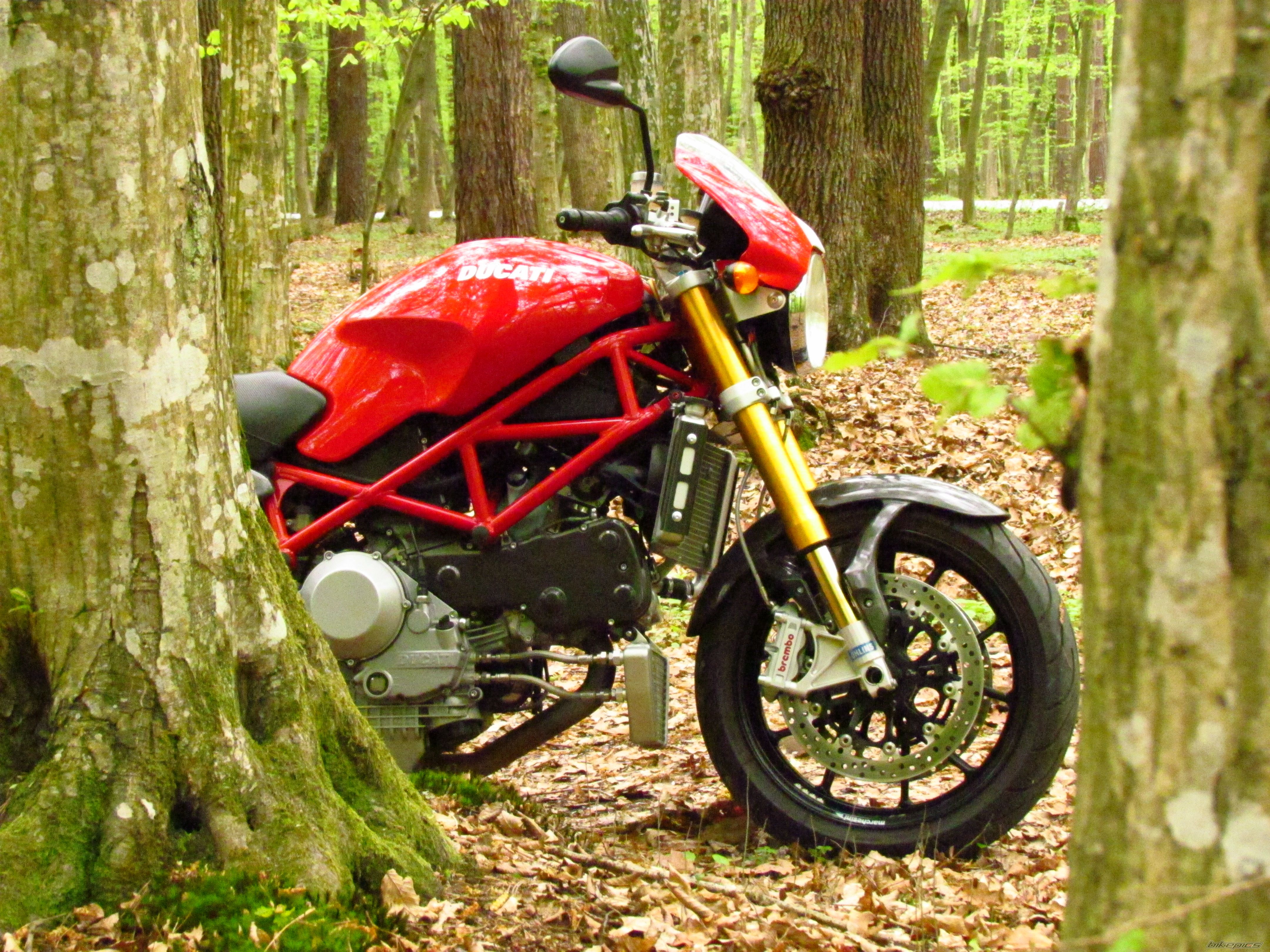 2006 DUCATI MONSTER S4RS TESTASTRETTA | Picture 2546255 motorcycle photo