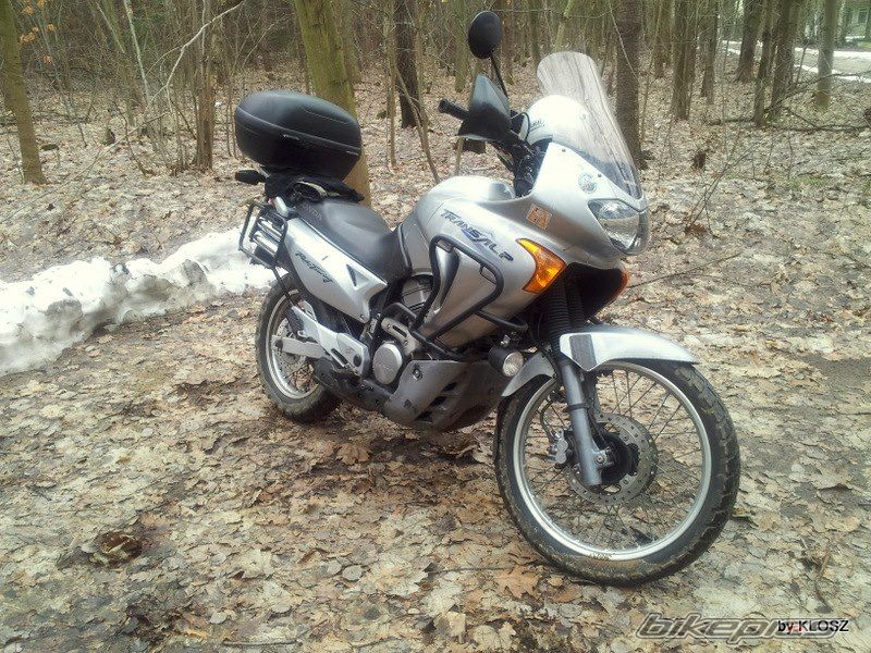 2003 HONDA XL 650V TRANSALP | Picture 2546841 motorcycle photo