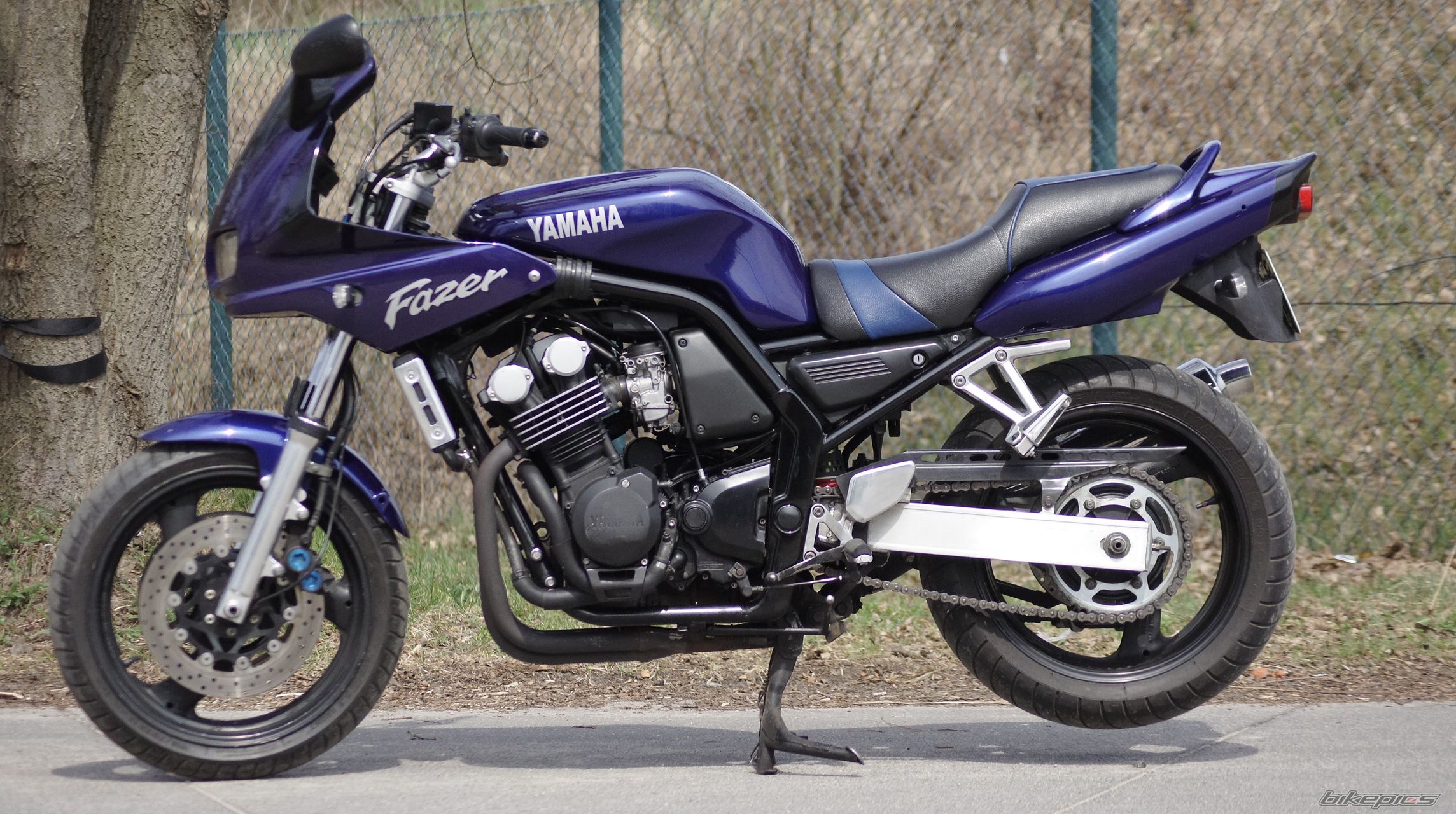 2000 YAMAHA FZS 600 FAZER | Picture 2547257 motorcycle photo