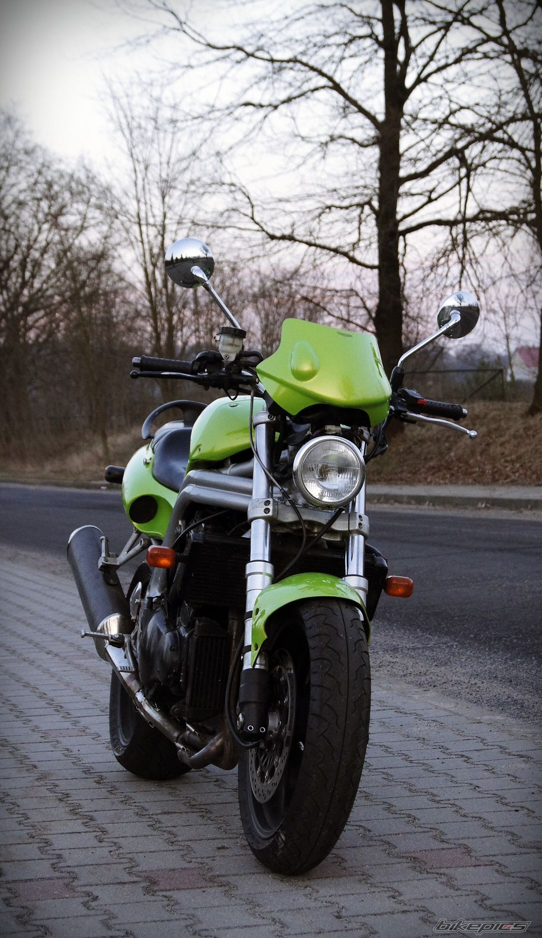 1998 TRIUMPH SPEED TRIPLE | Picture 2547295 motorcycle photo