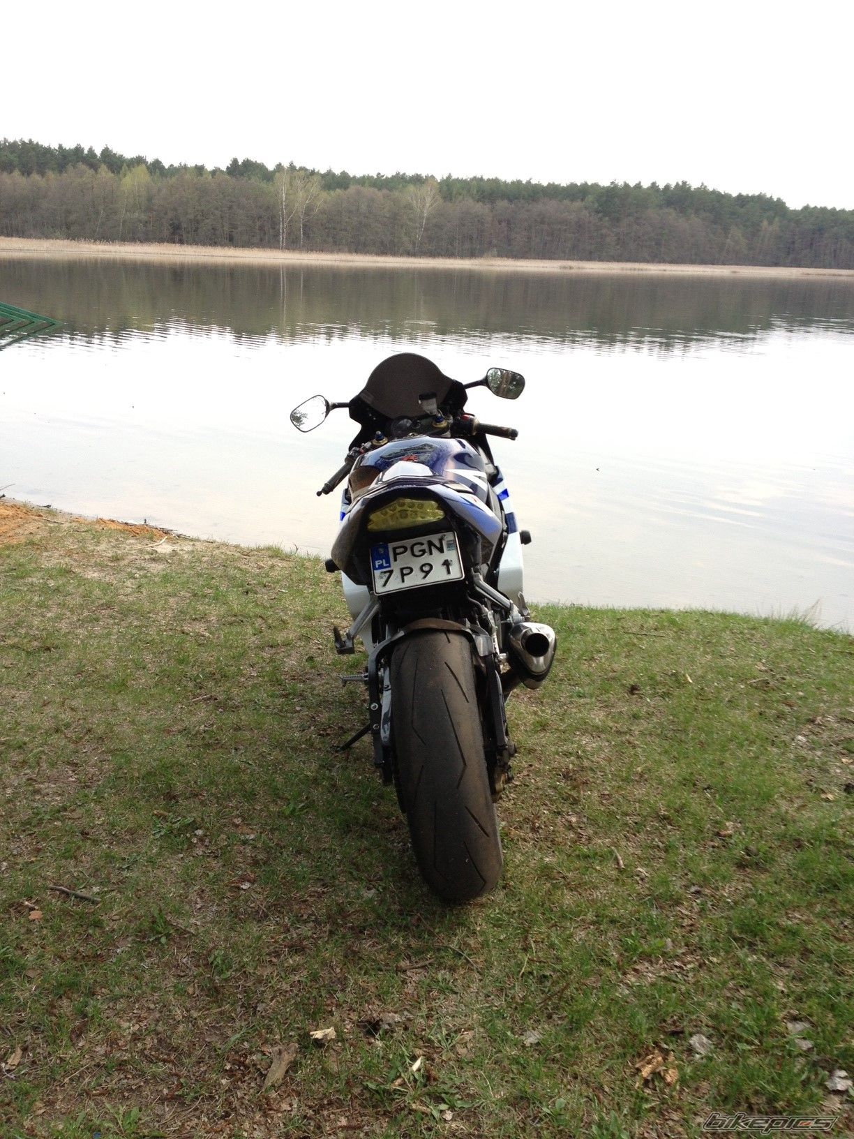 2005 SUZUKI GSX R 750 | Picture 2547658 motorcycle photo