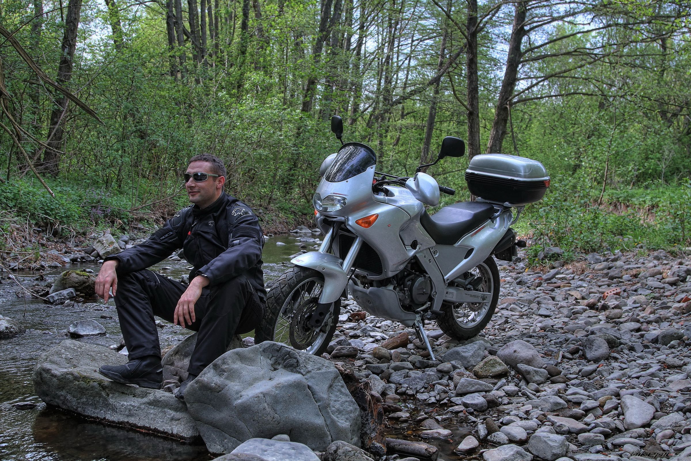2002 APRILIA PEGASO 650 | Picture 2548982 motorcycle photo