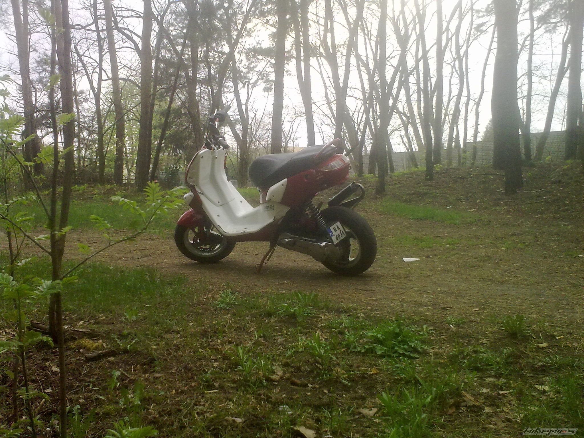 2002 PEUGEOT TREKKER 50 | Picture 2549010 motorcycle photo