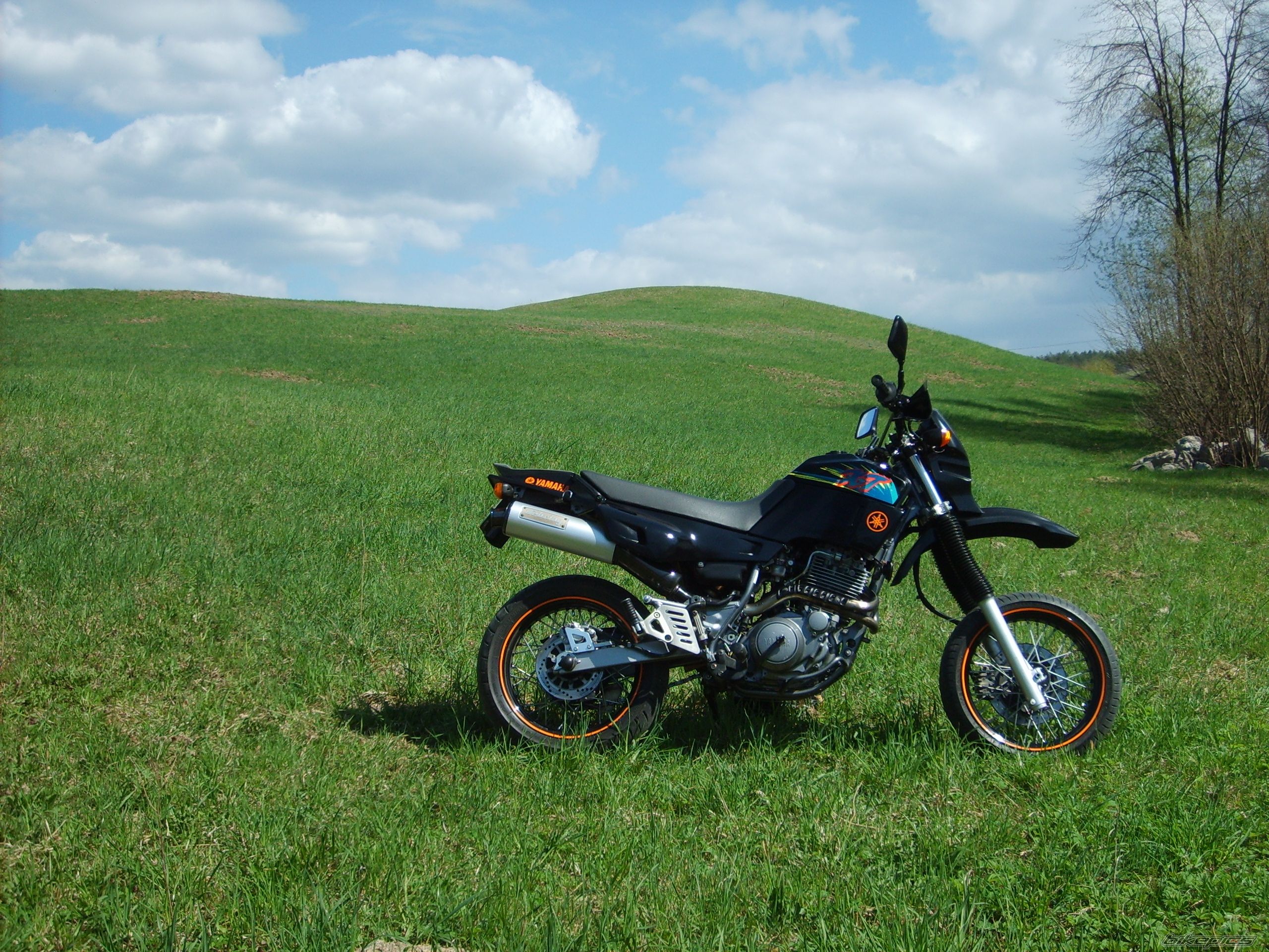 1994 YAMAHA XT 600 | Picture 2549036 motorcycle photo