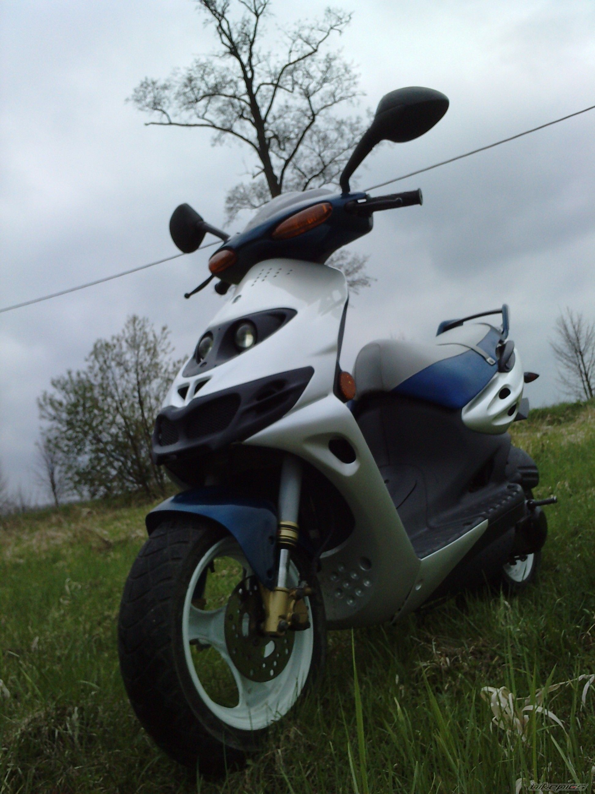 1999 SUZUKI AY 50 | Picture 2549309 motorcycle photo