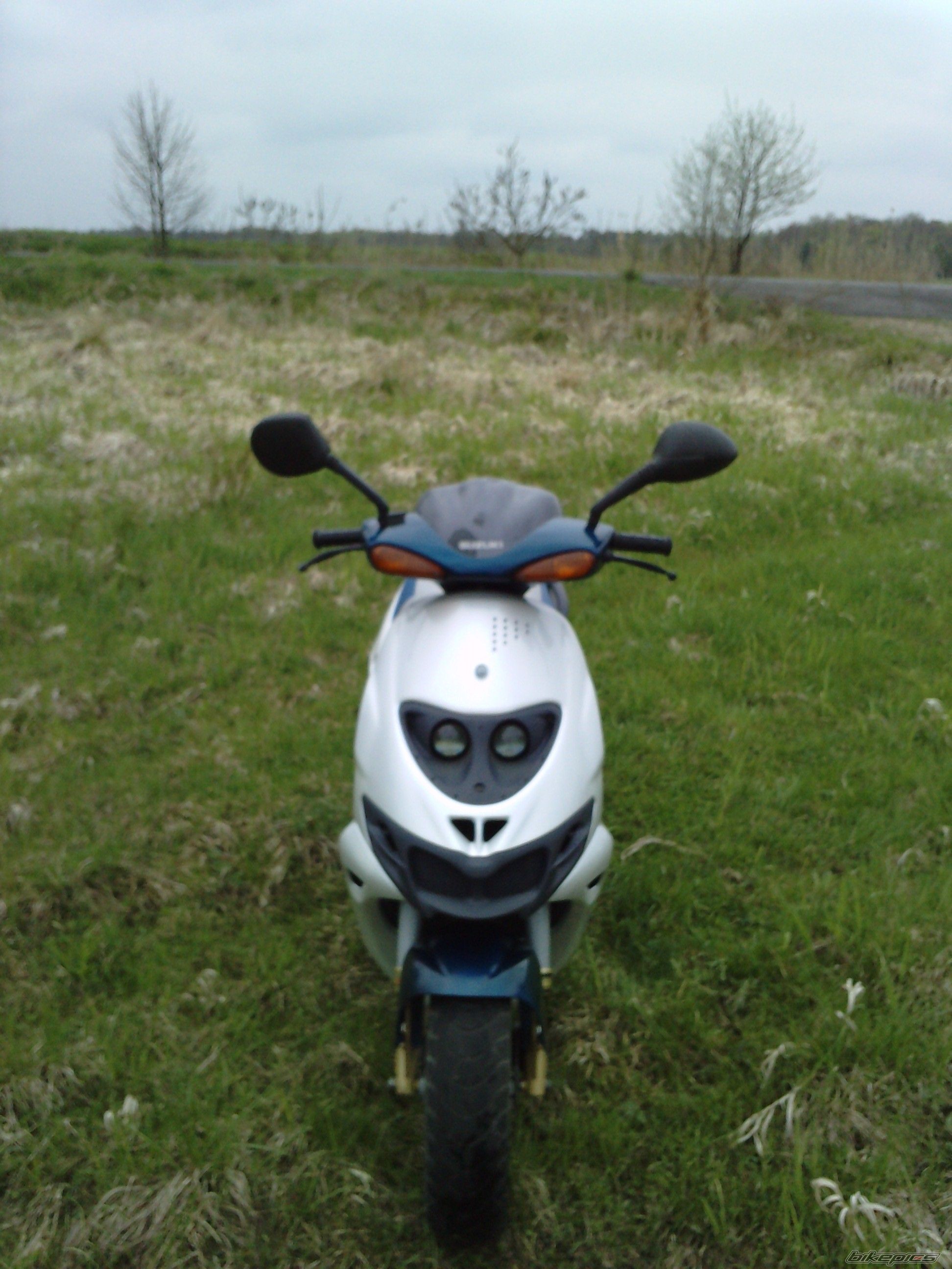 1999 SUZUKI AY 50 | Picture 2549310 motorcycle photo
