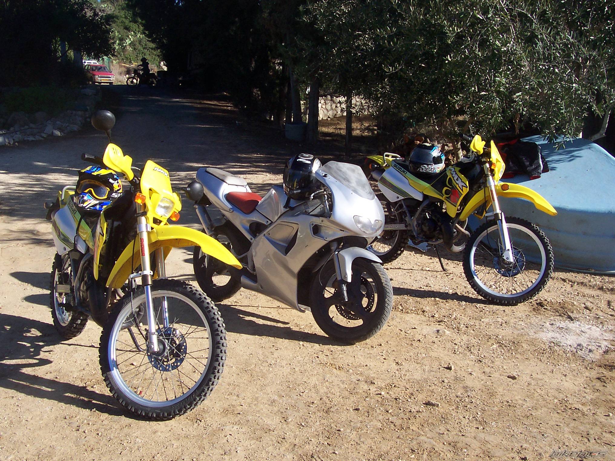 2002 SUZUKI RMX 50 | Picture 254939 motorcycle photo