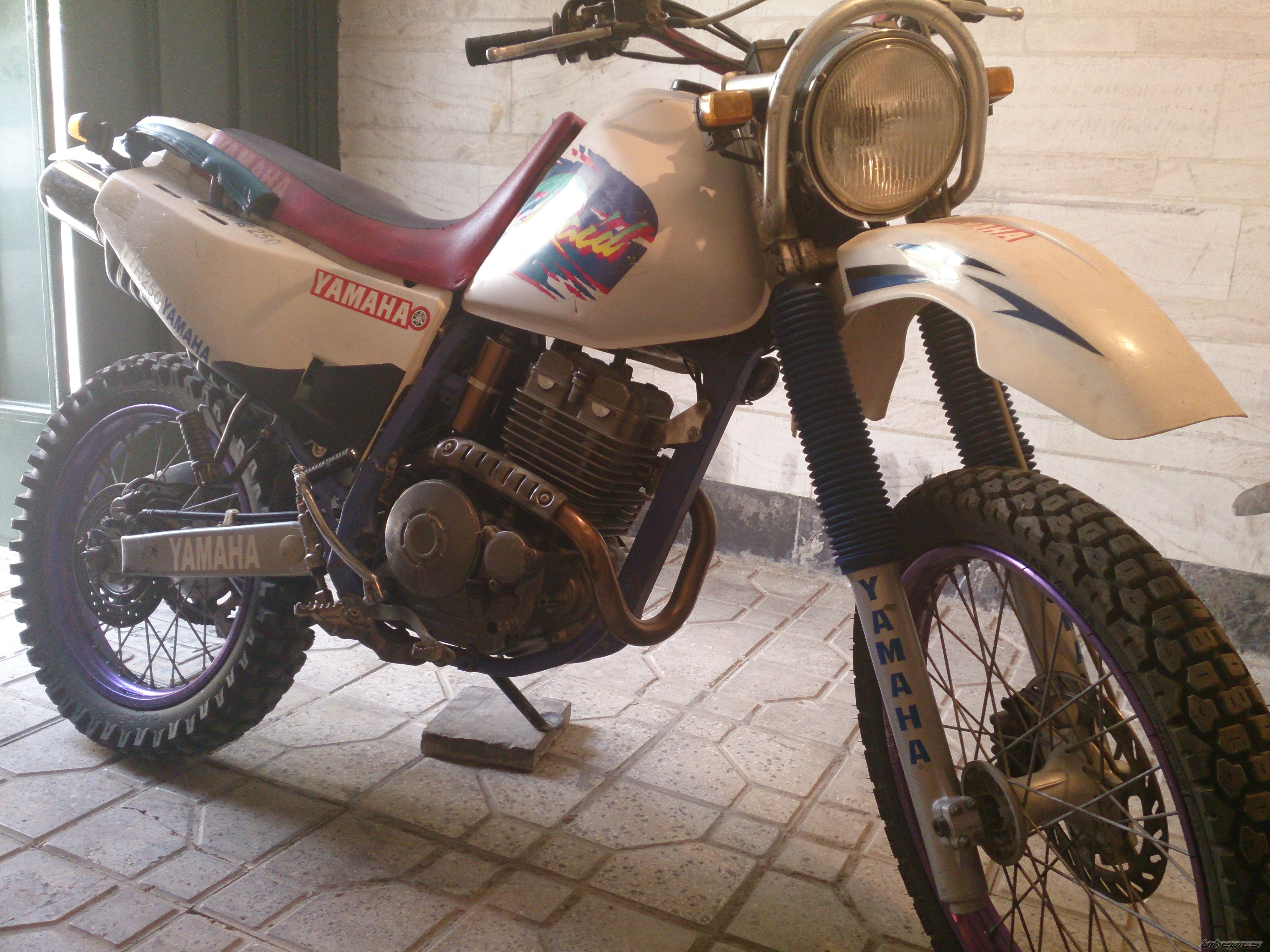 1996 YAMAHA TTR 250 | Picture 2549751 motorcycle photo