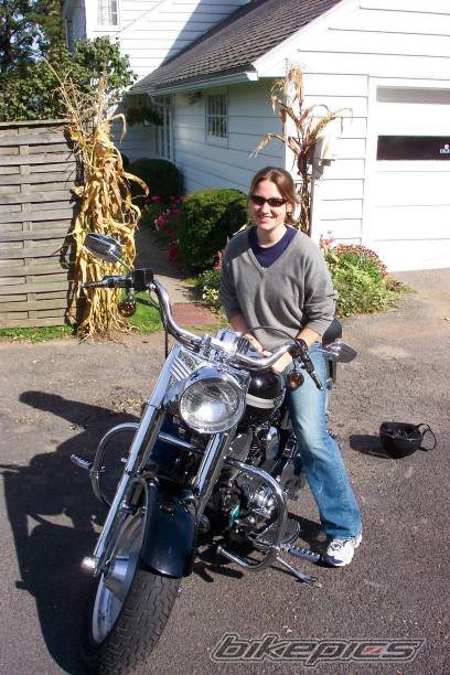2003 HARLEY DAVIDSON FLSTF | Picture 255045 motorcycle photo