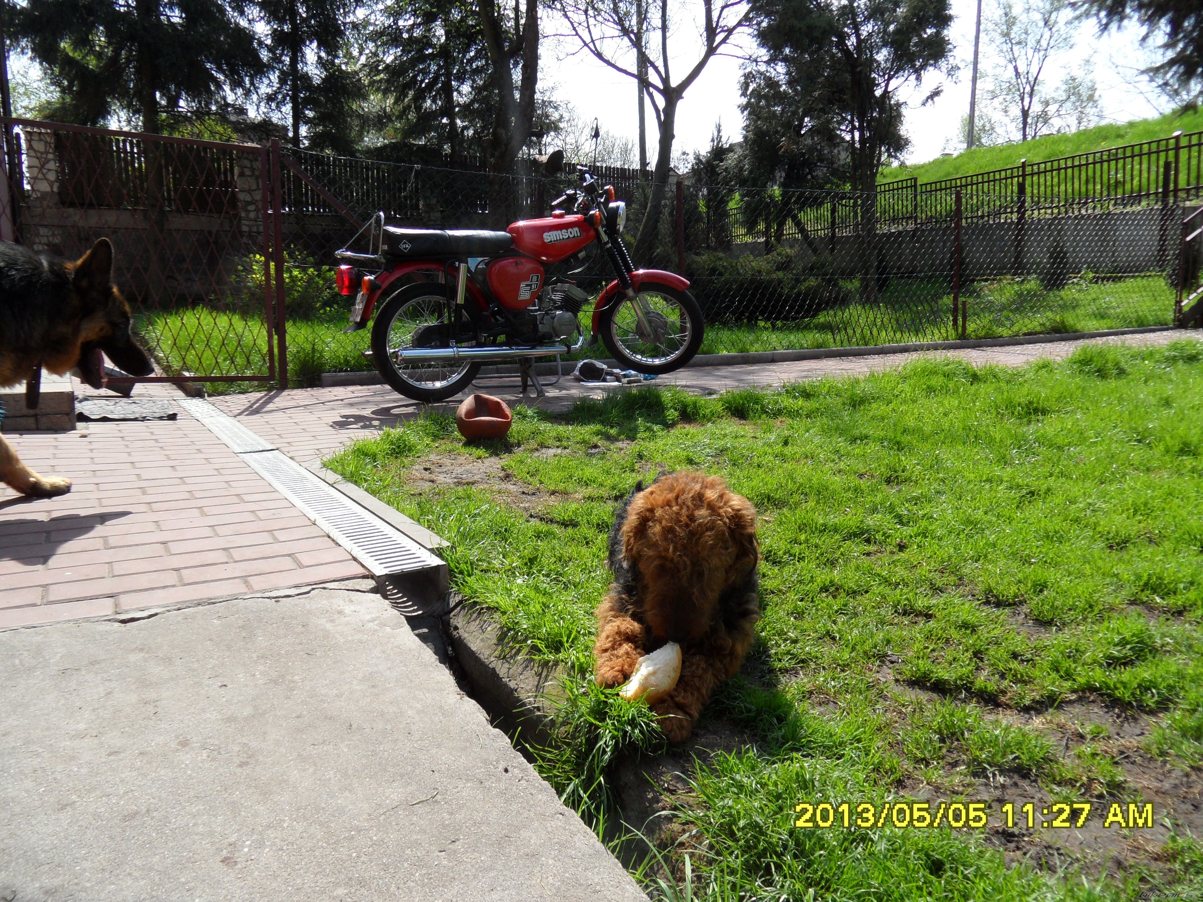 1988 SIMSON S 51 | Picture 2550585 motorcycle photo
