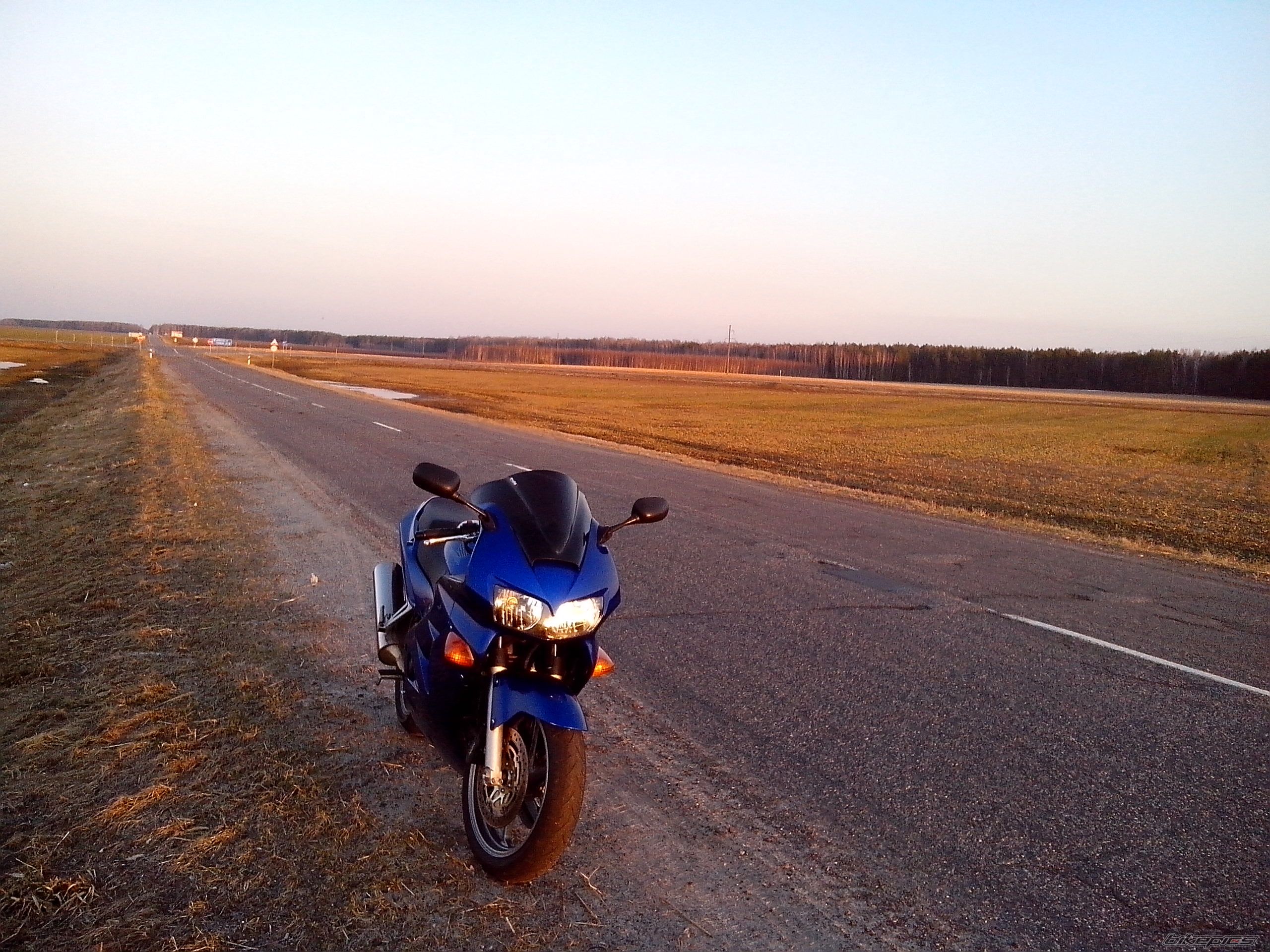 2001 HONDA VFR 800 | Picture 2551141 motorcycle photo