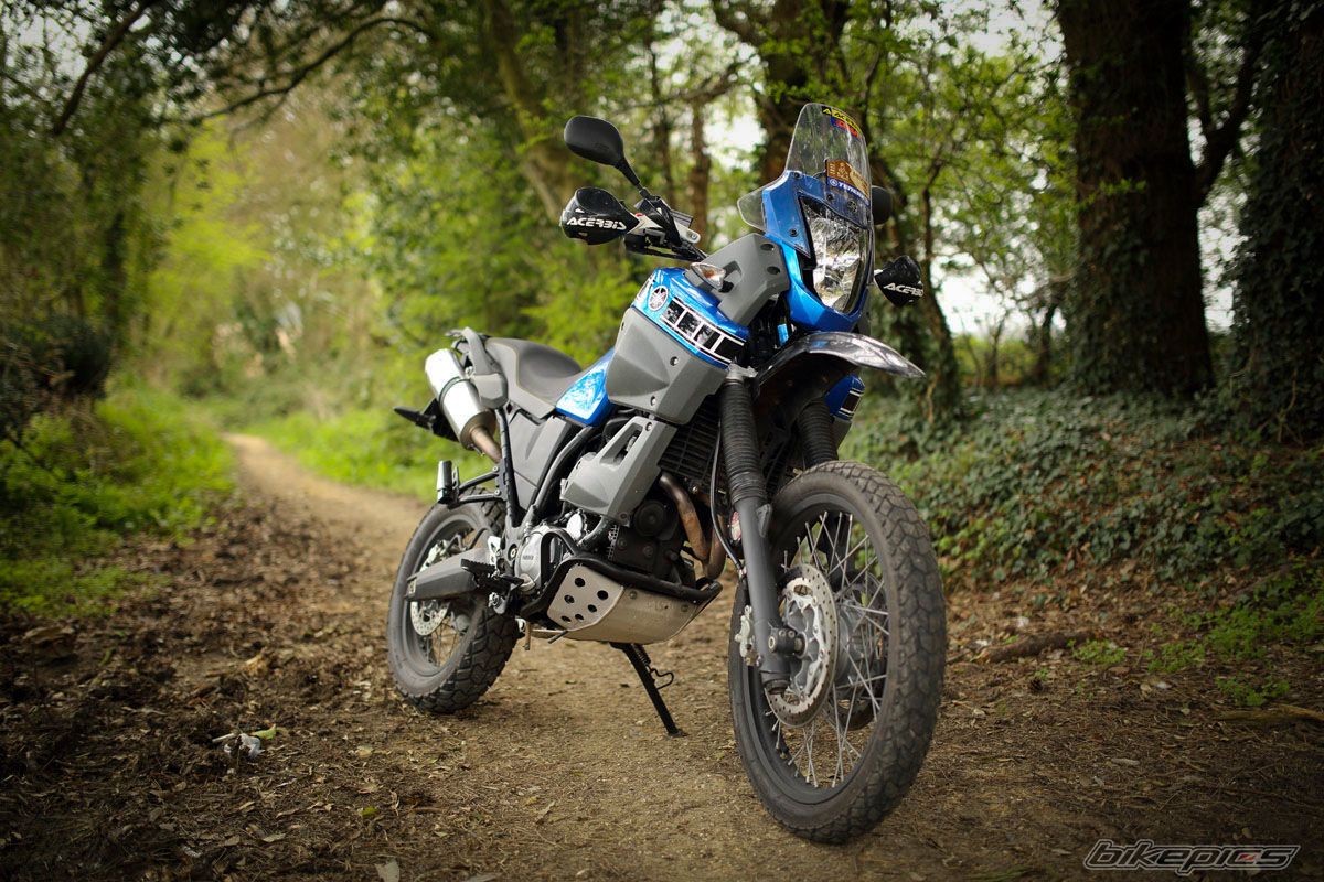 2009 YAMAHA XT660Z T%C3%A9N%C3%A9R%C3%A9 | Picture 2551186 motorcycle photo