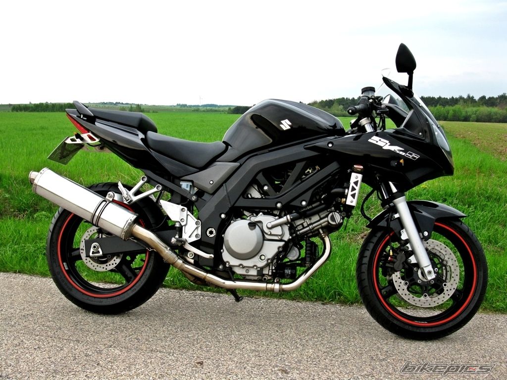 2006 SUZUKI SV 650 | Picture 2551375 motorcycle photo