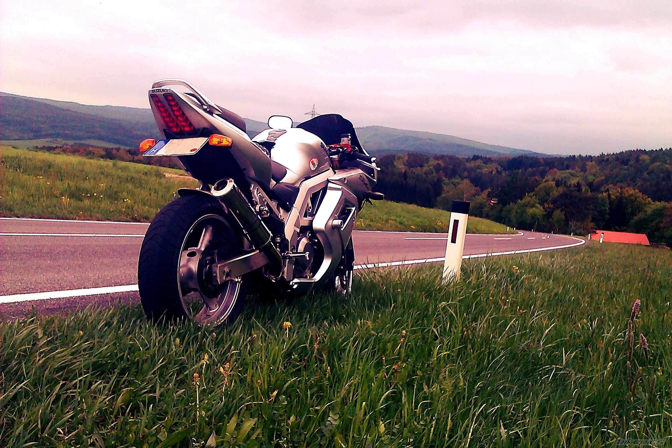 2005 SUZUKI SV650S | Picture 2552173 motorcycle photo