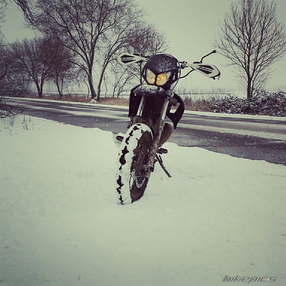 2006 DERBI SENDA DRD RACING R | Picture 2552312 motorcycle photo