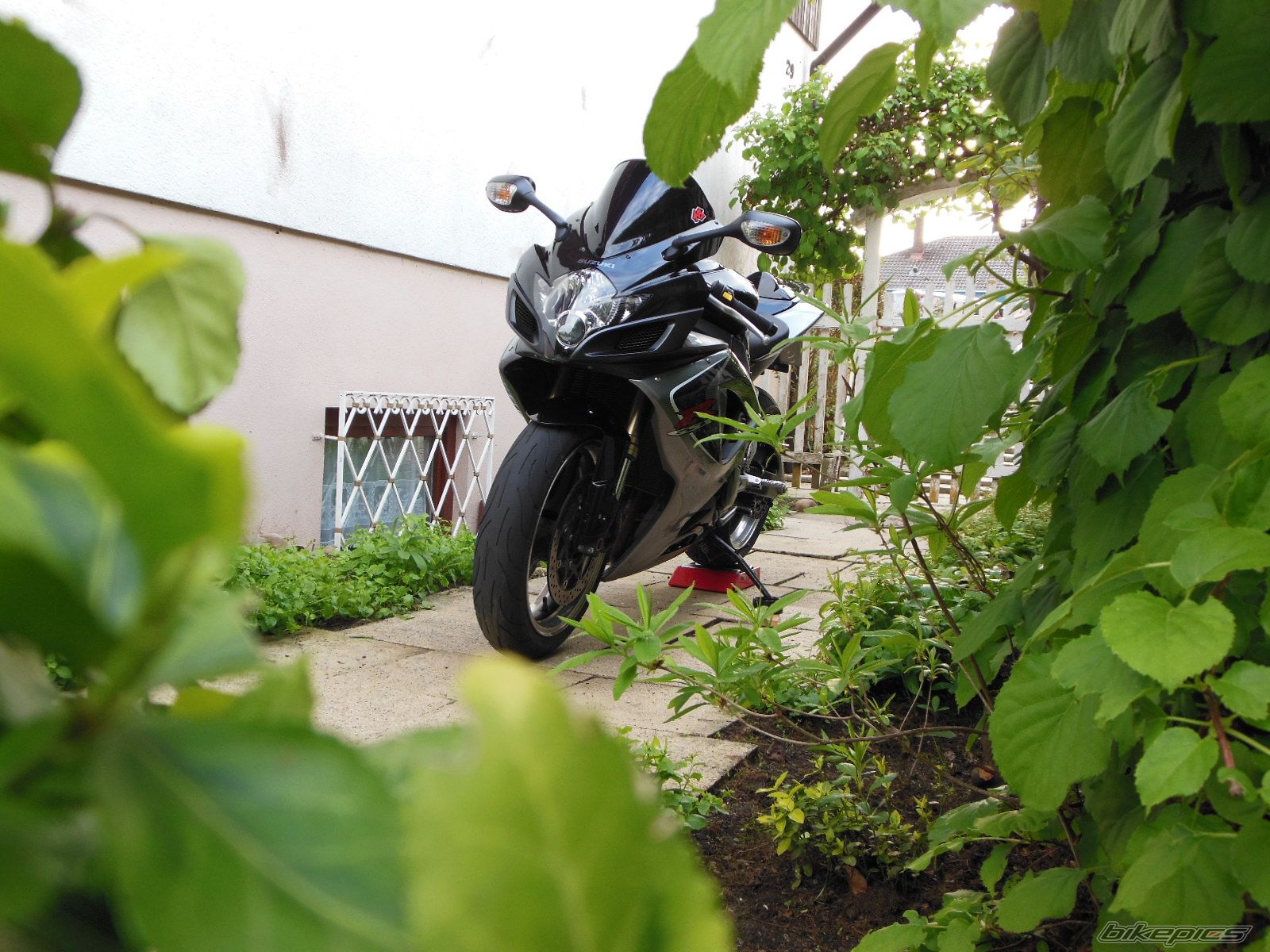 2006 SUZUKI GSX R 600 | Picture 2552447 motorcycle photo