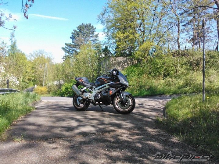 2001 APRILIA FALCO | Picture 2552734 motorcycle photo