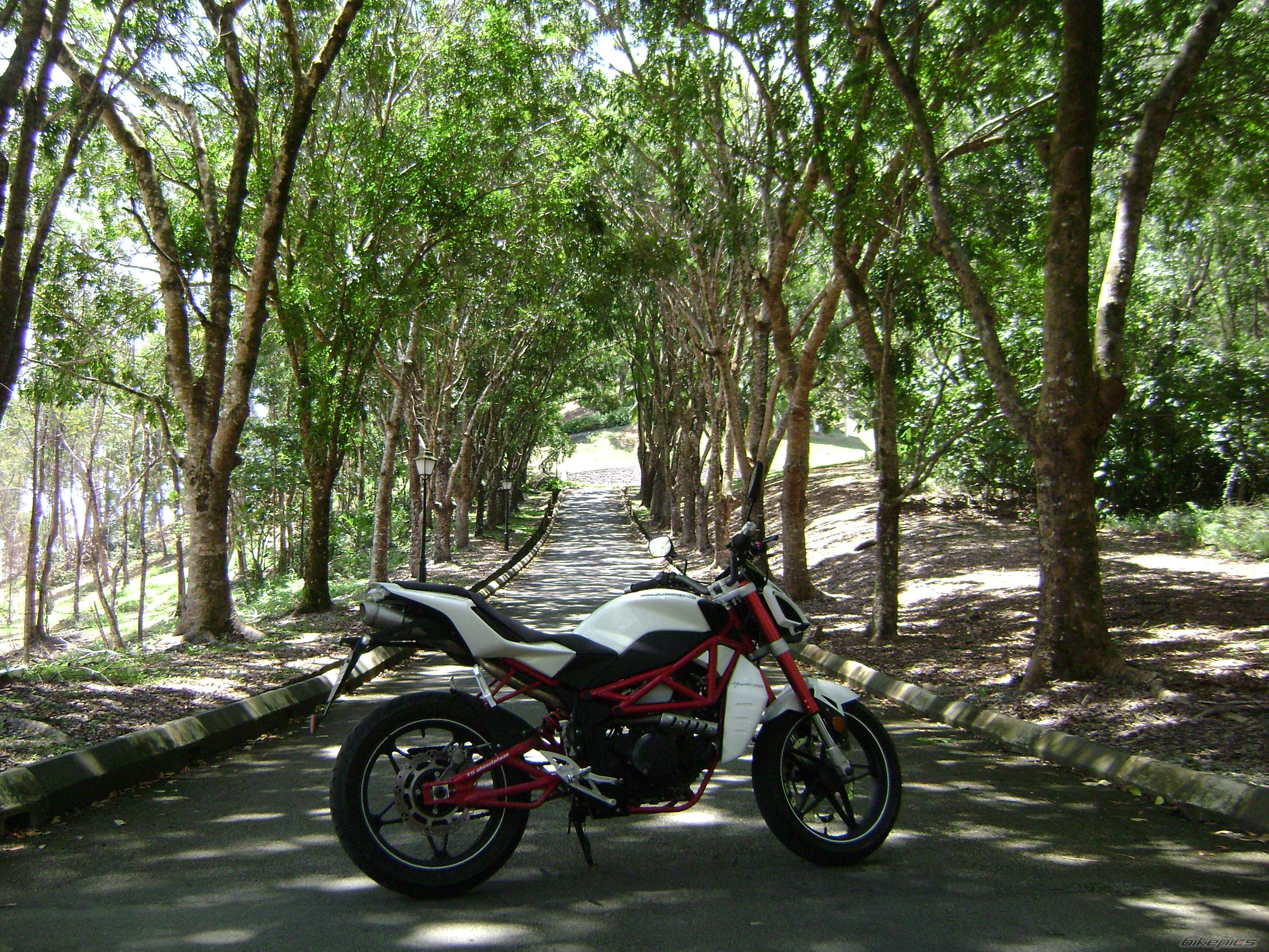 2012 MEGELLI MEGELLI | Picture 2553789 motorcycle photo