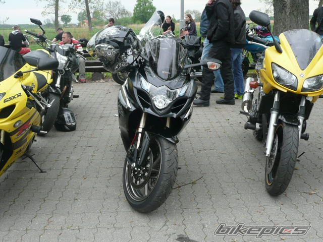 2009 SUZUKI GSX R 1000 | Picture 2554245 motorcycle photo