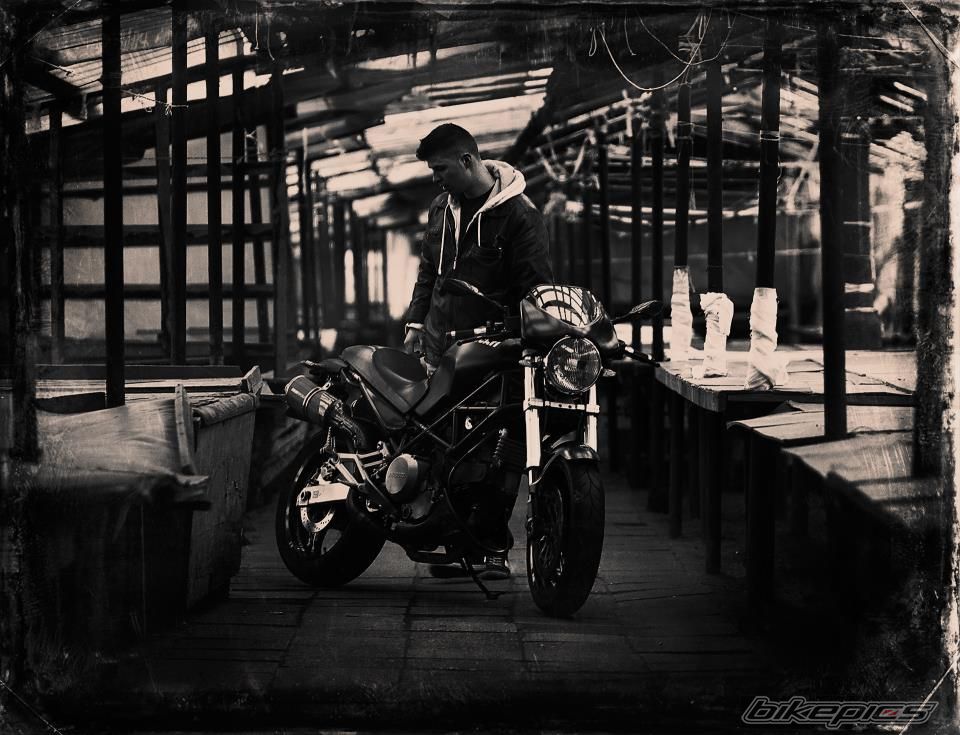 2003 DUCATI MONSTER 800 | Picture 2554558 motorcycle photo