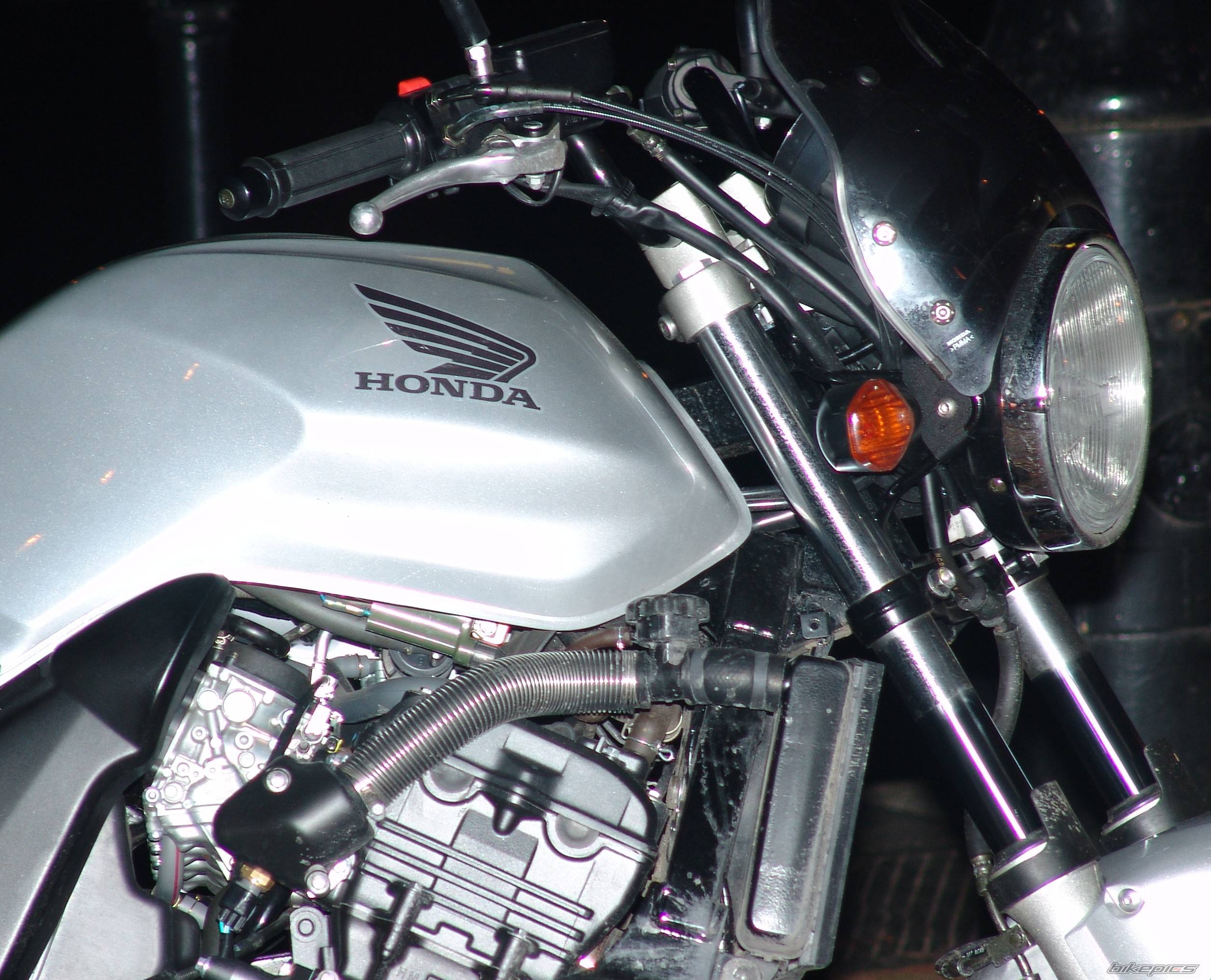 2004 HONDA CBF 600 | Picture 255517 motorcycle photo