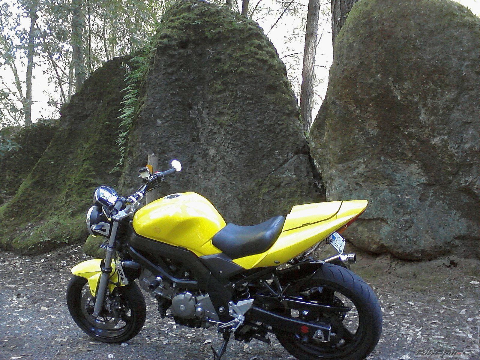 2005 SUZUKI SV 650 | Picture 2555635 motorcycle photo