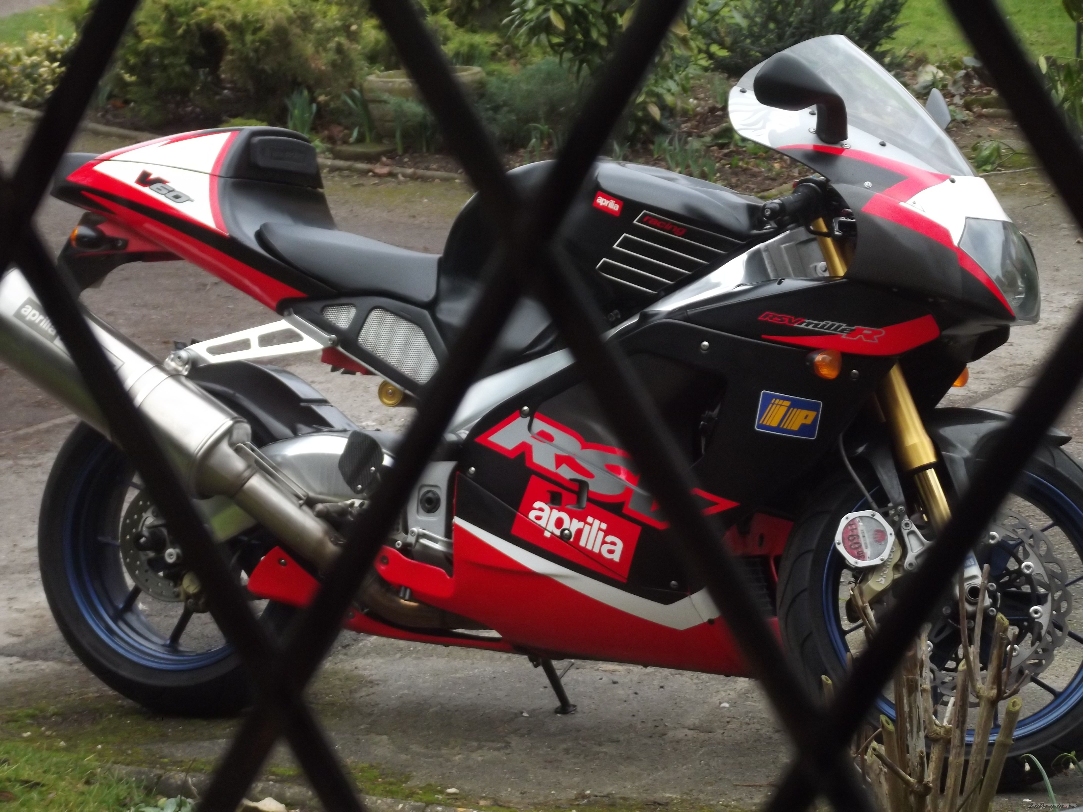 2002 APRILIA RSV 1000R MILLE | Picture 2555793 motorcycle photo