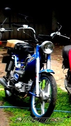 2006 LONCIN LX49 Q | Picture 2556742 motorcycle photo
