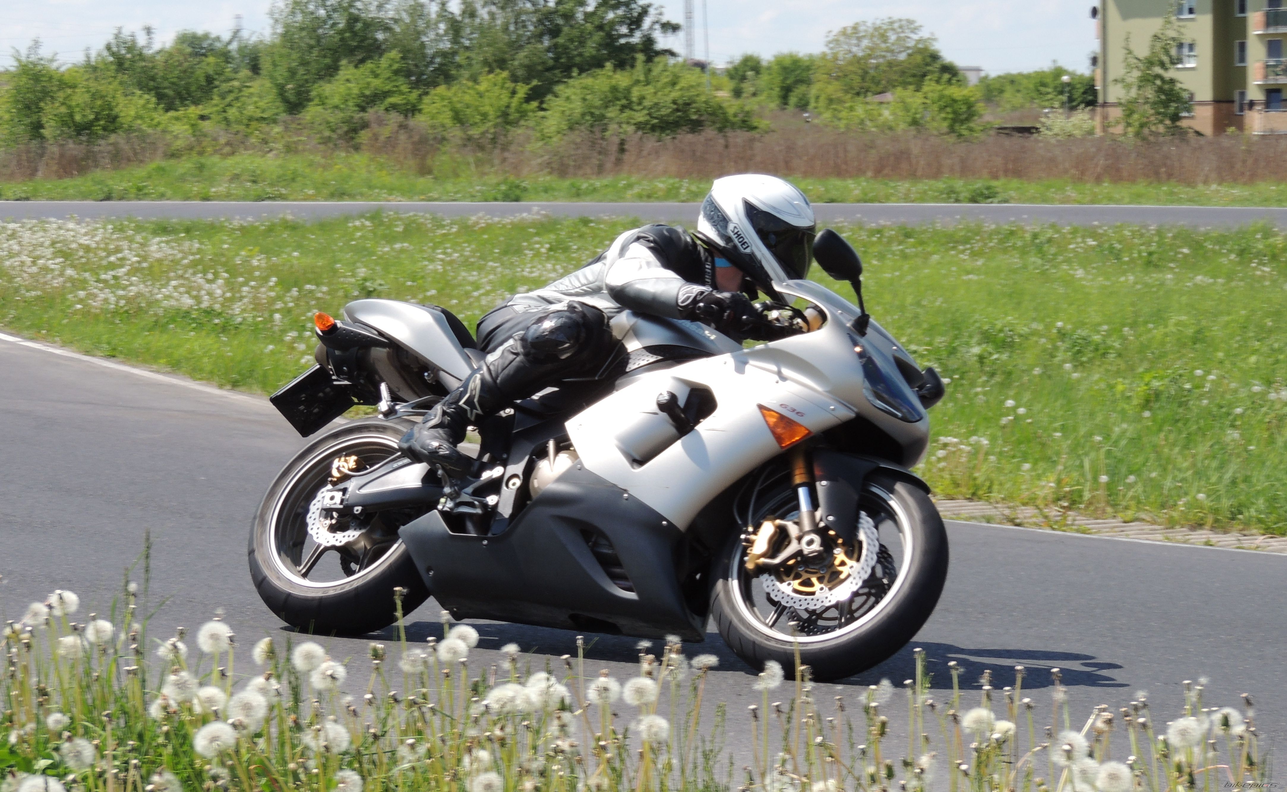    | Picture 2557312 motorcycle photo