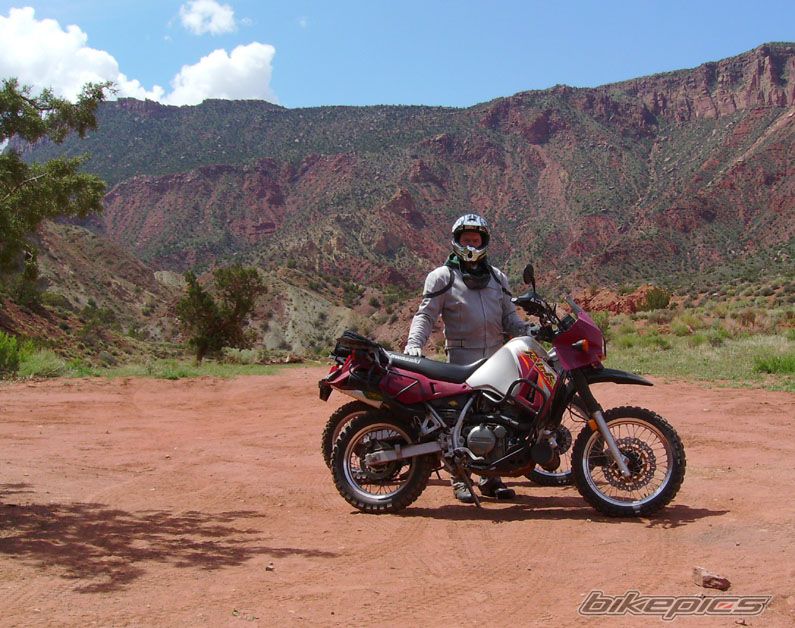 2002 KAWASAKI KLR 250 | Picture 2558396 motorcycle photo