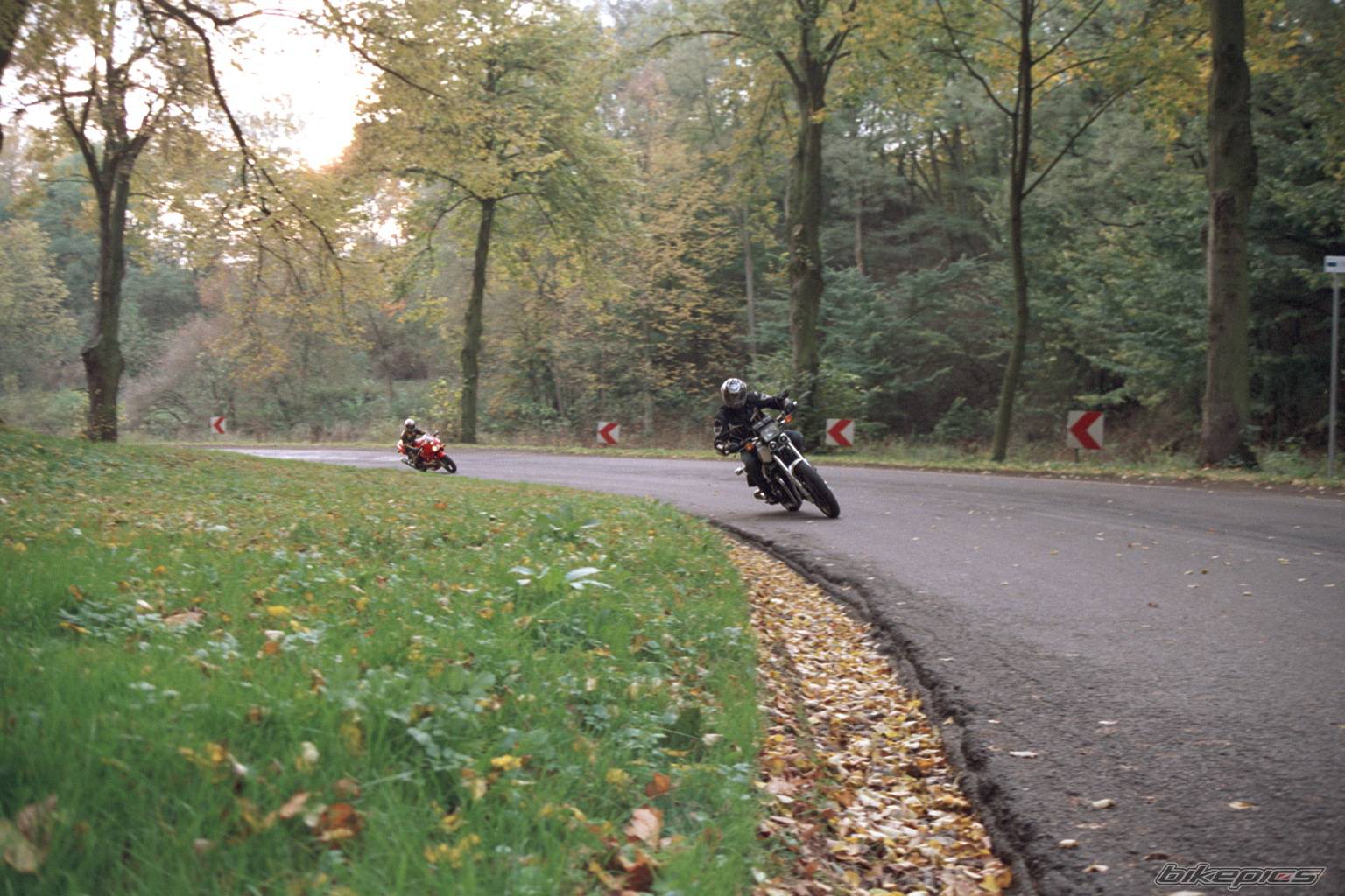 1986 HONDA CBX 650 | Picture 255862 motorcycle photo