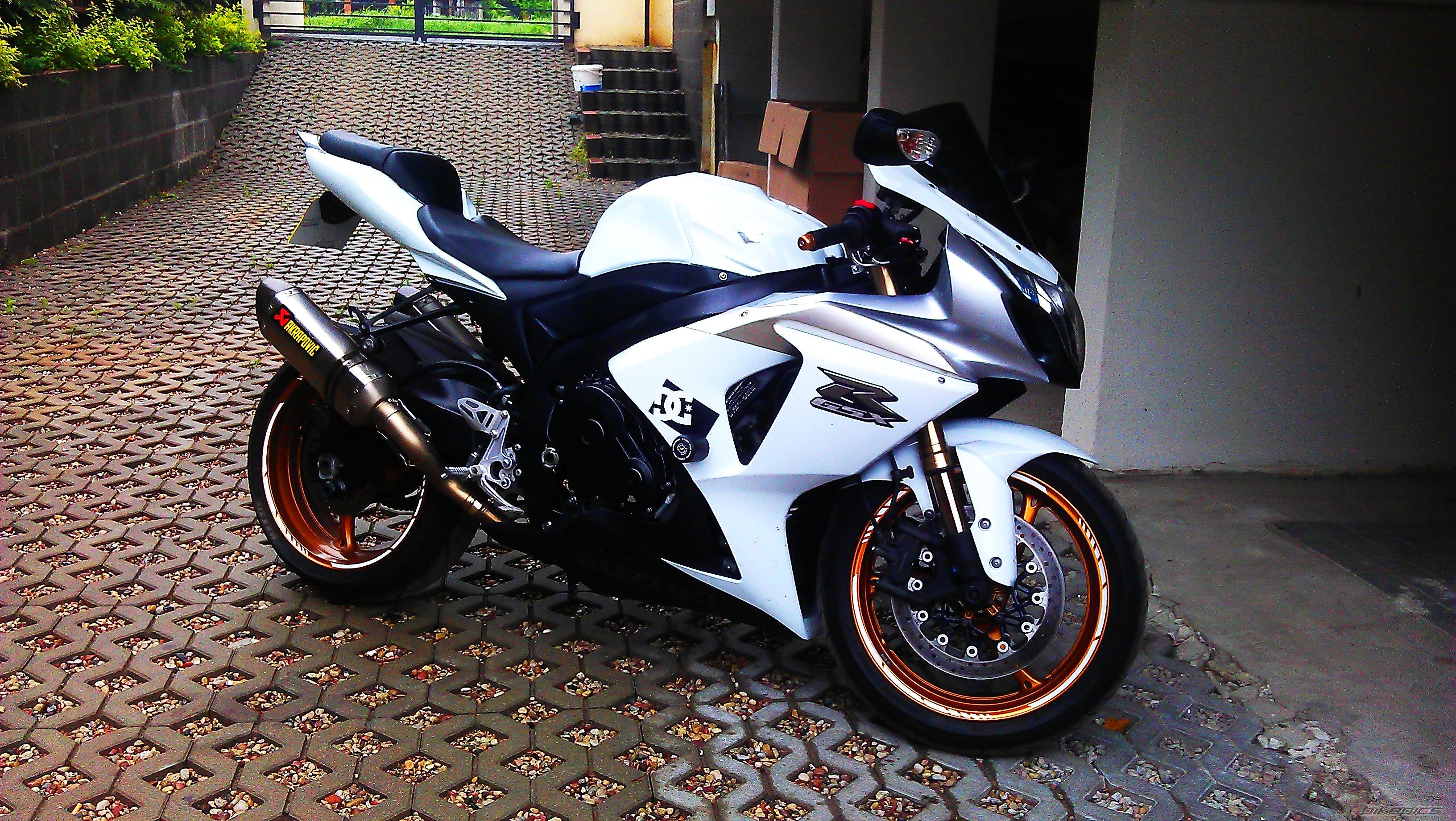2009 SUZUKI GSX R 1000 | Picture 2559236 motorcycle photo