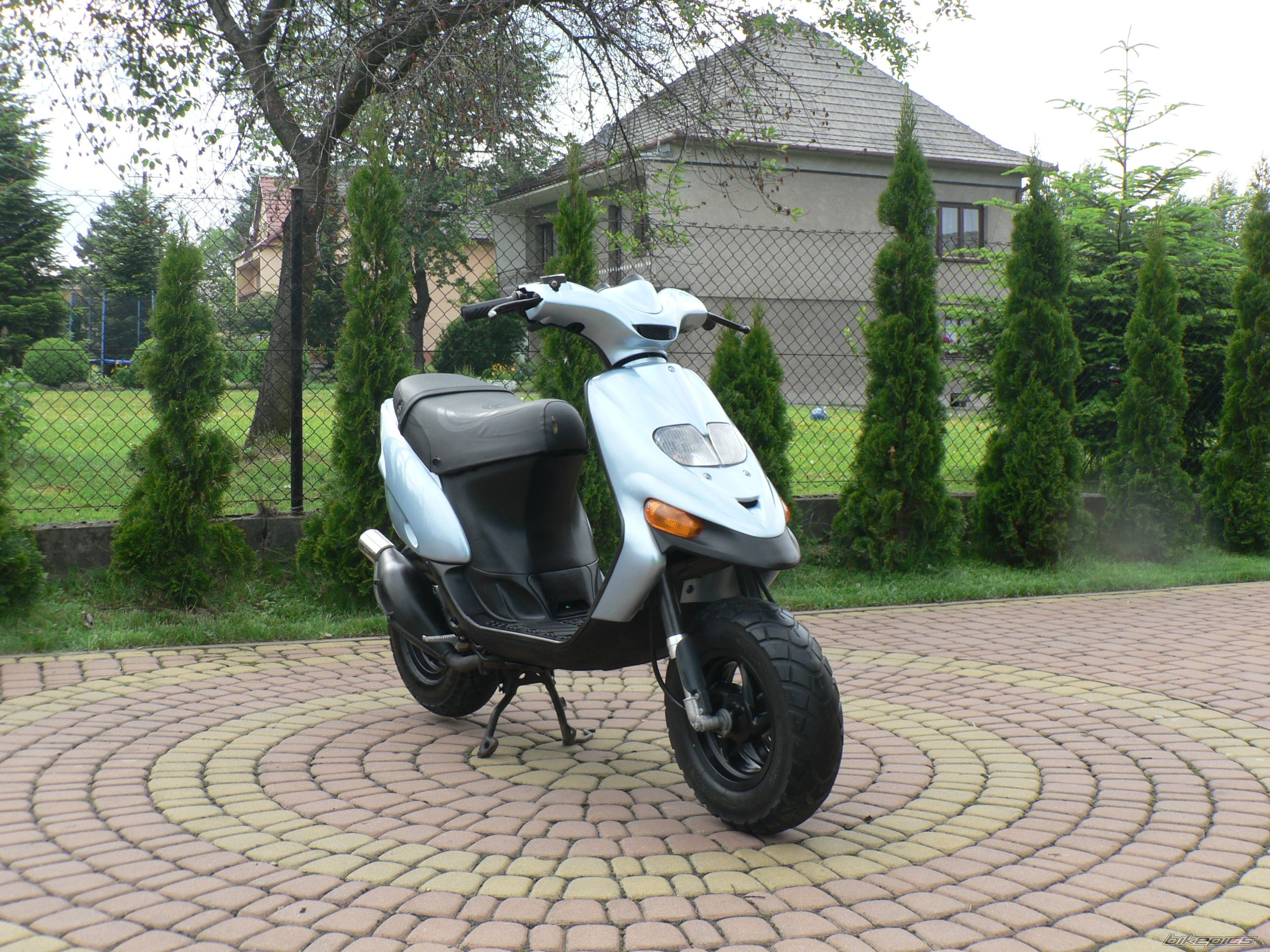 2008 PEUGEOT SPEEDFIGHT2 50 | Picture 2559288 motorcycle photo