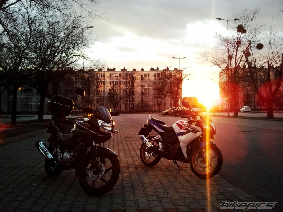 2010 HONDA CBR 125 | Picture 2559444 motorcycle photo