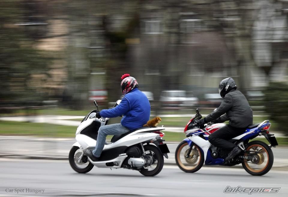 2010 HONDA CBR 125 | Picture 2559447 motorcycle photo